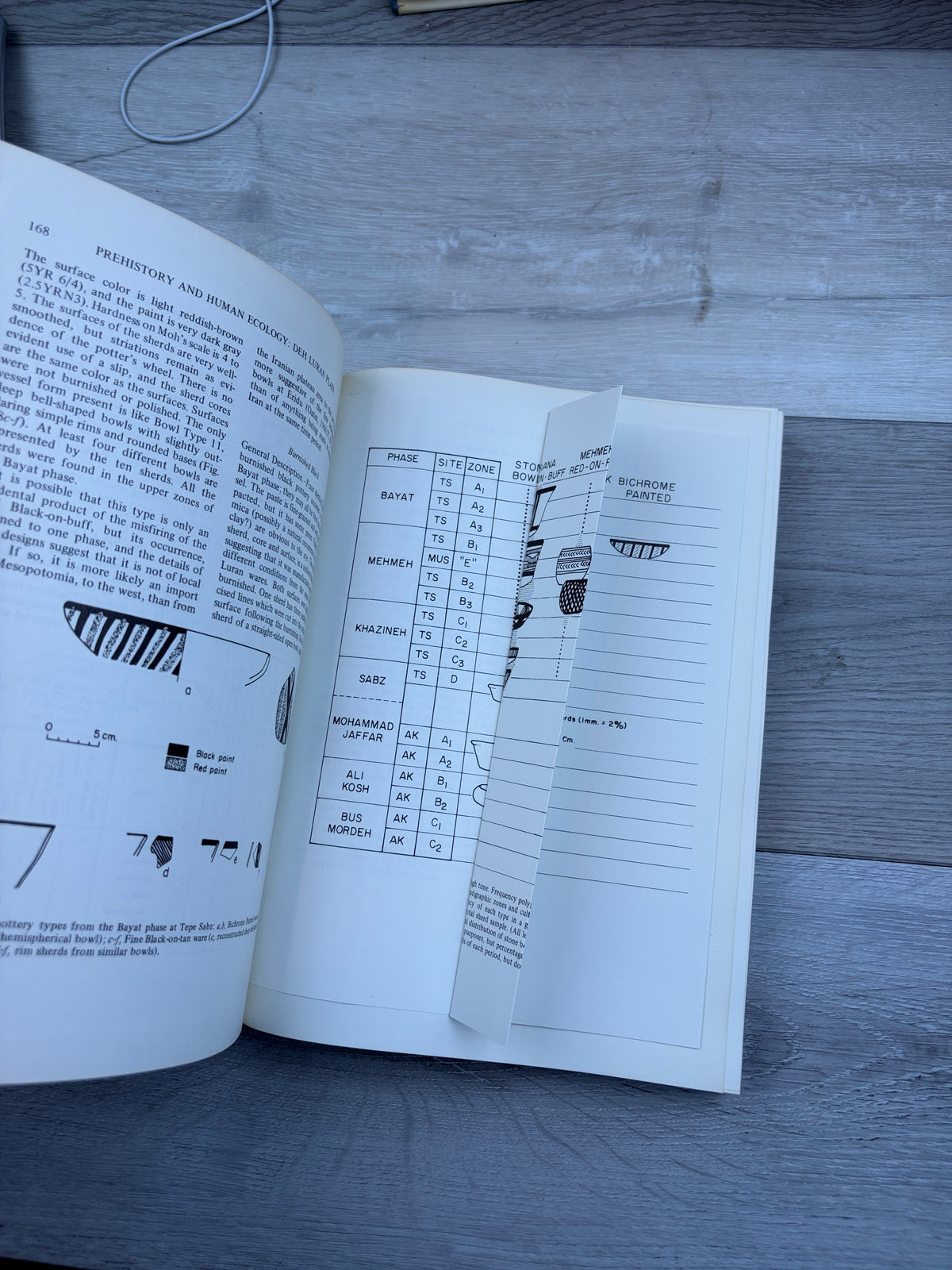 Prehistory and Human Ecology of the Deh Luran Plain