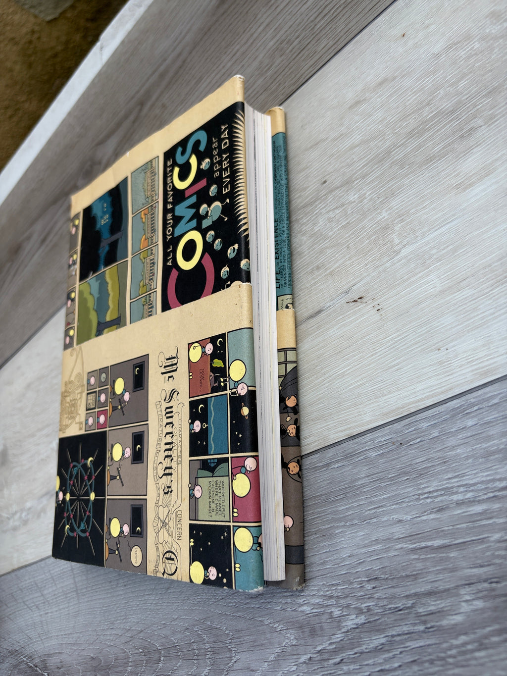 McSweeney's Quarterly Concern, Issue Number 13
