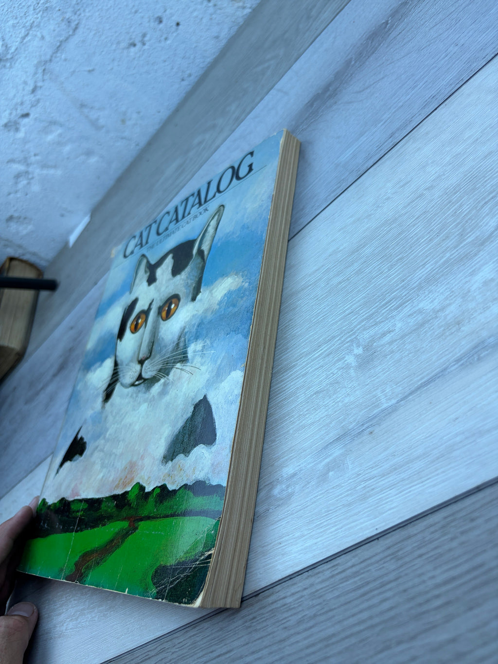 Cat Catalog: The Ultimate Cat Book