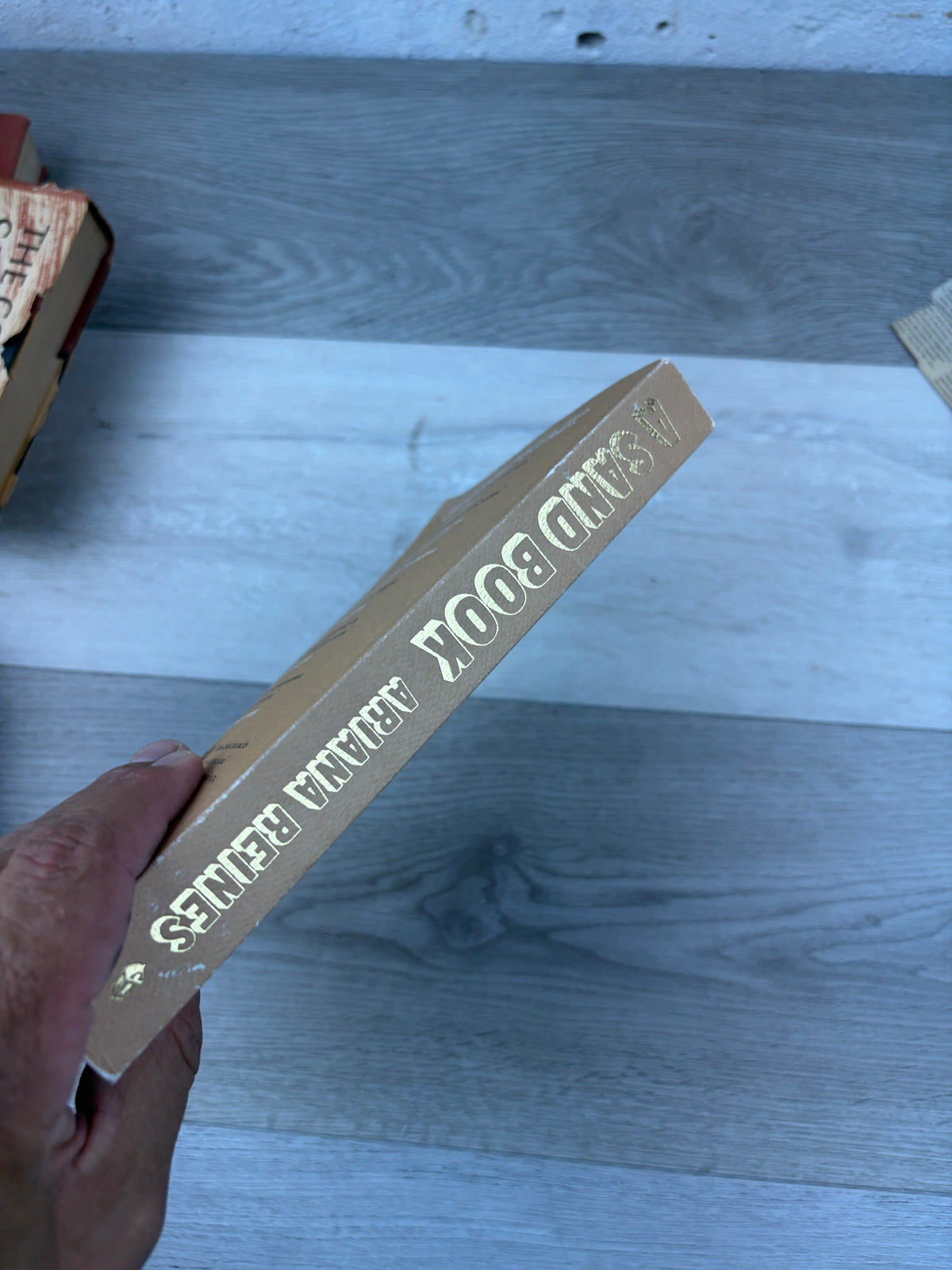 A Sand Book