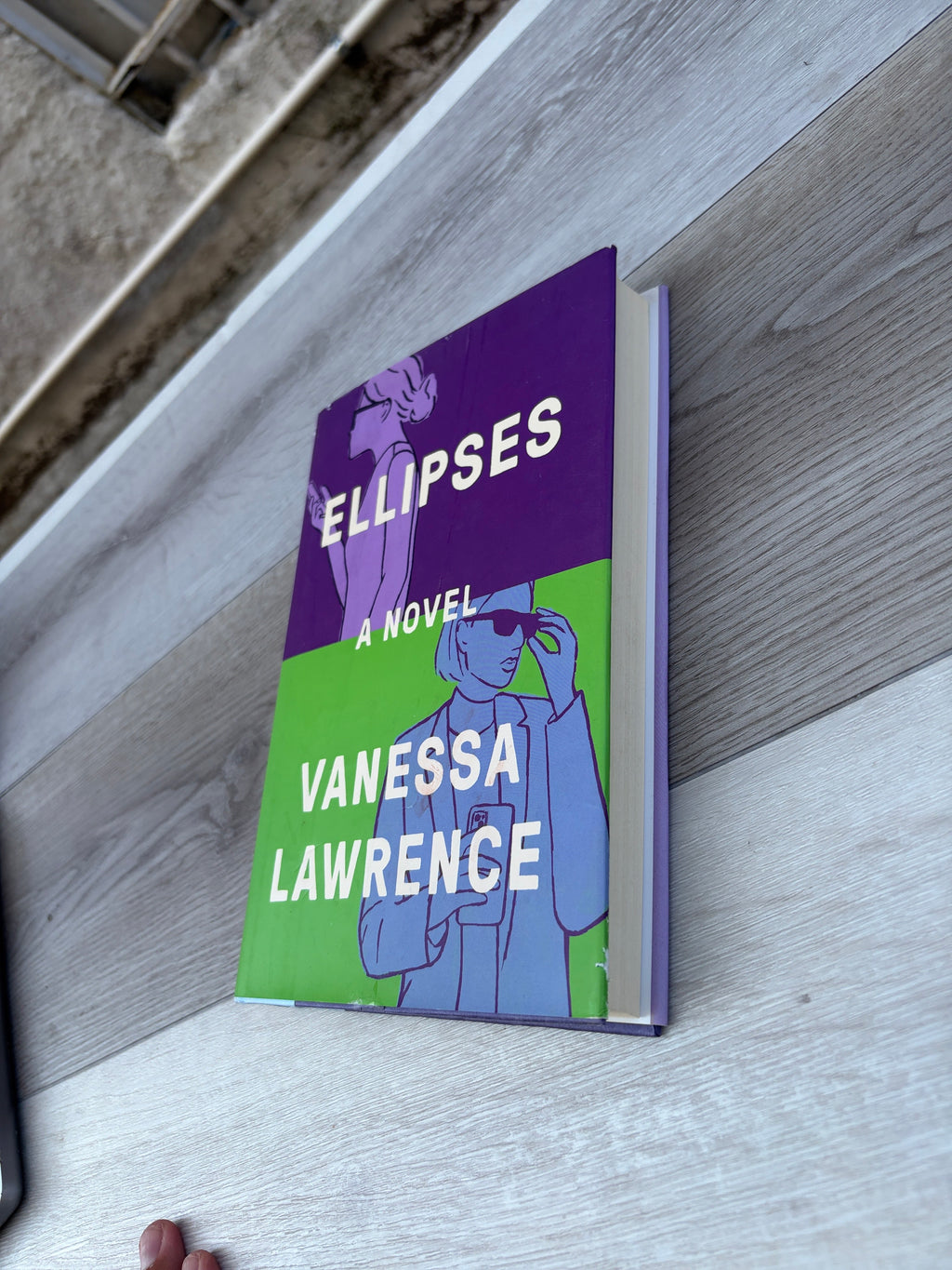 Ellipses: A Novel