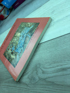 Drawings of the Masters: Cave to Renaissance