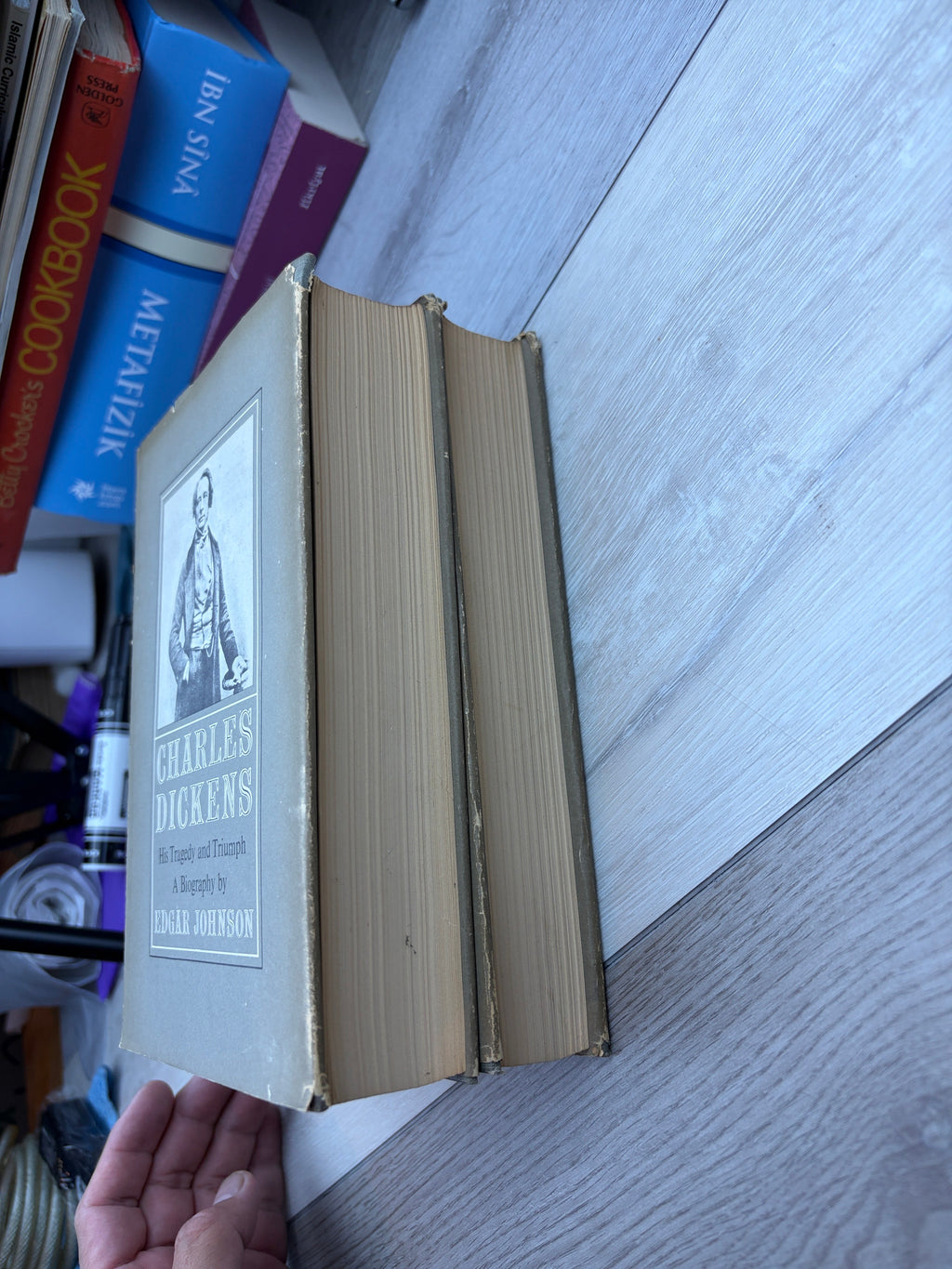 Charles Dickens His Tragedy and Triumph Vols 1&2