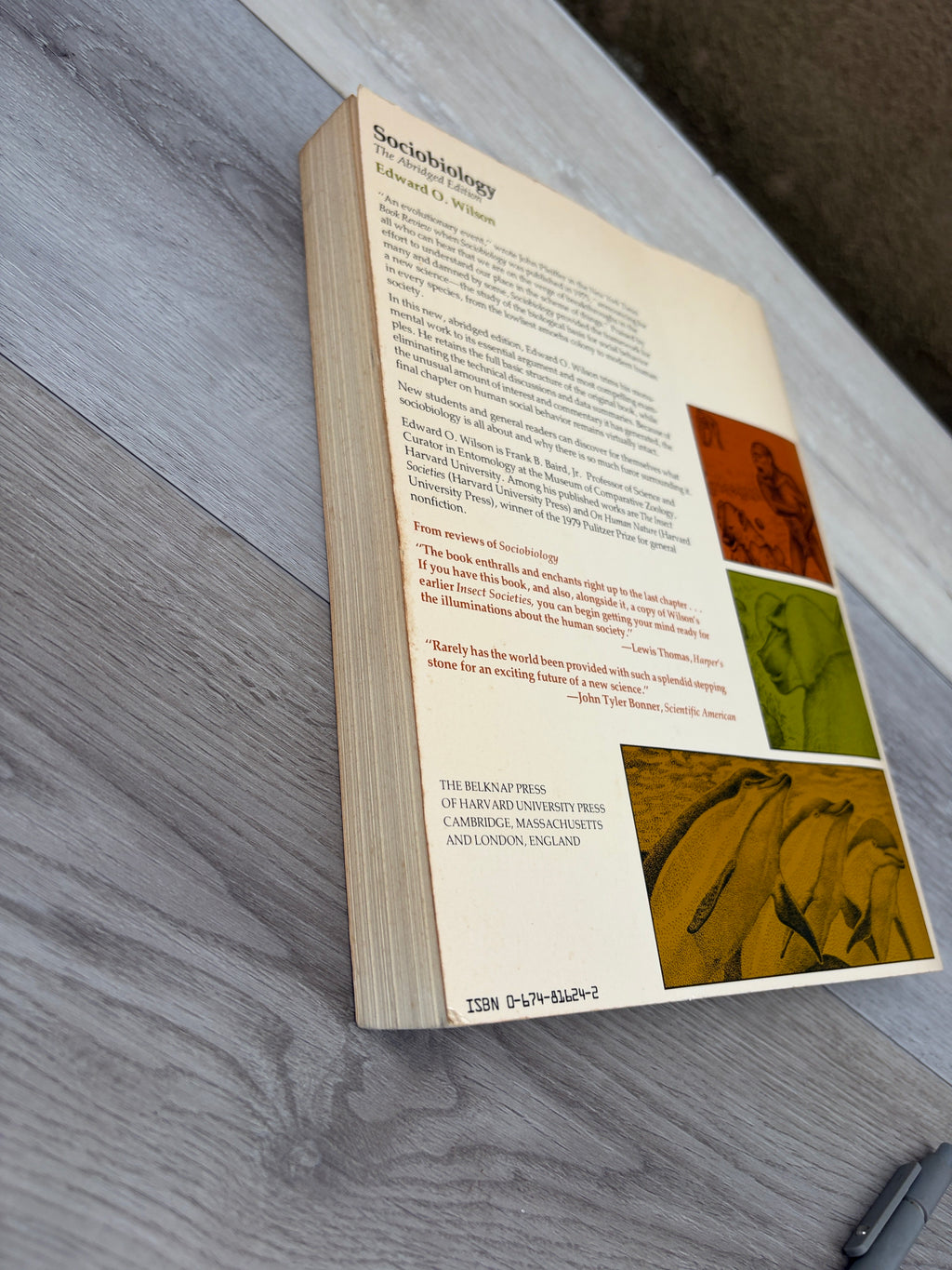 Sociobiology: The Abridged Edition
