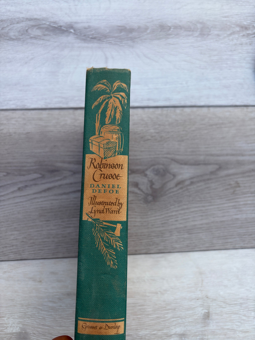 The Life and Strange Surprising Adventures of Robinson Crusoe