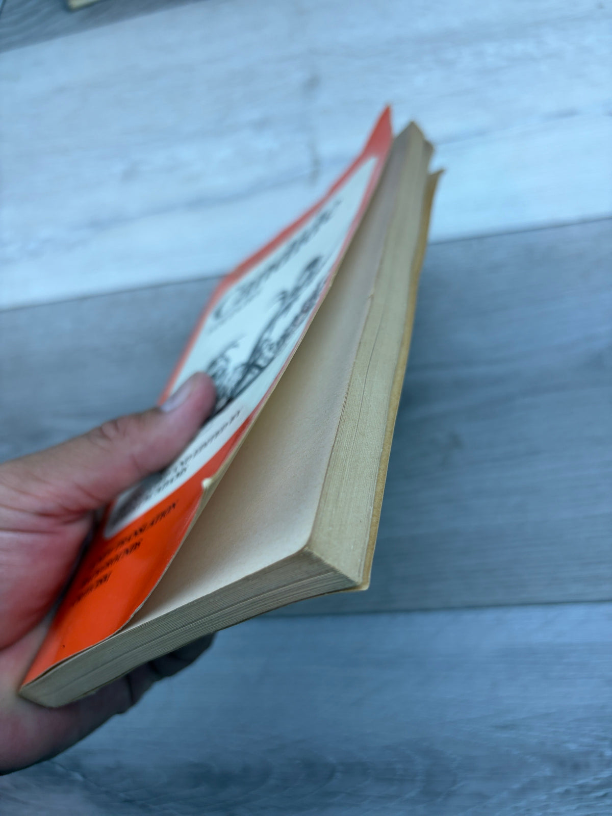 Candide, or Optimism: A New Translation; Backgrounds; Criticism