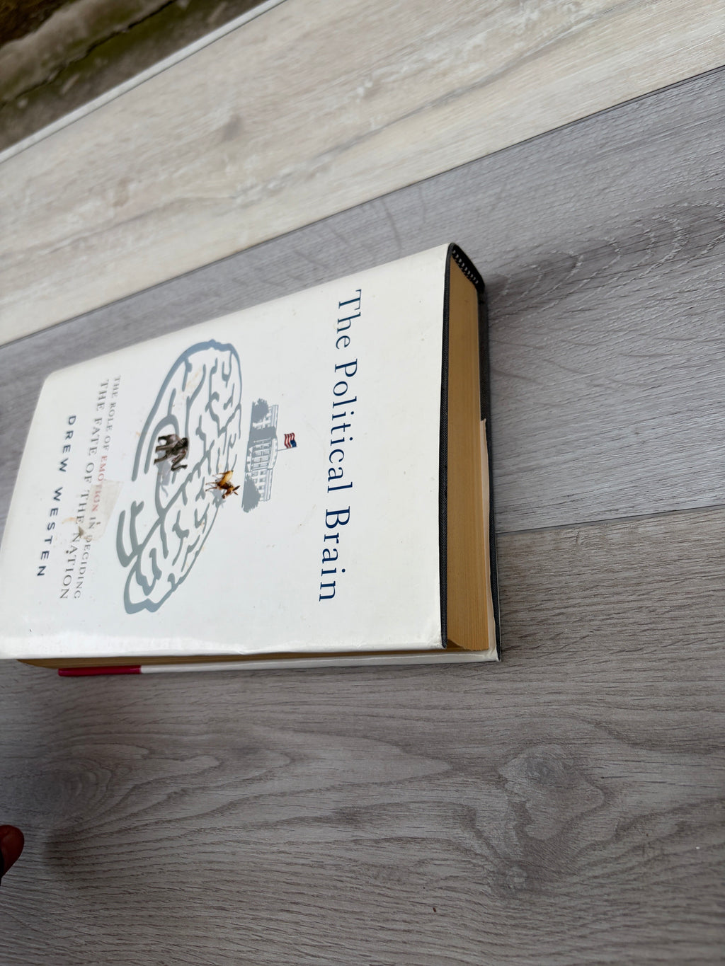 The Political Brain: The Role of Emotion in Deciding the Fate of the Nation