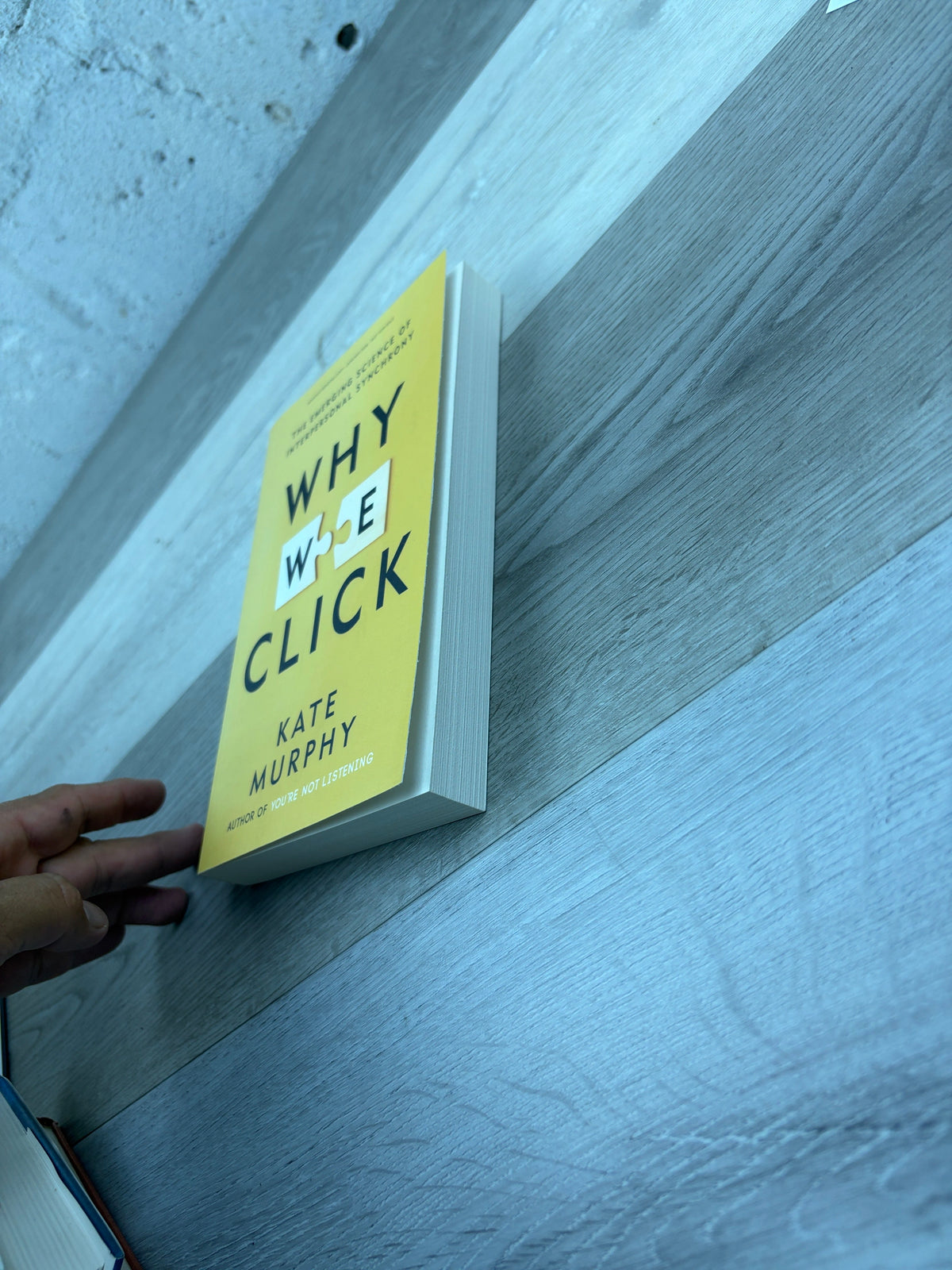 Why We Click: The Emerging Science of Interpersonal Synchrony