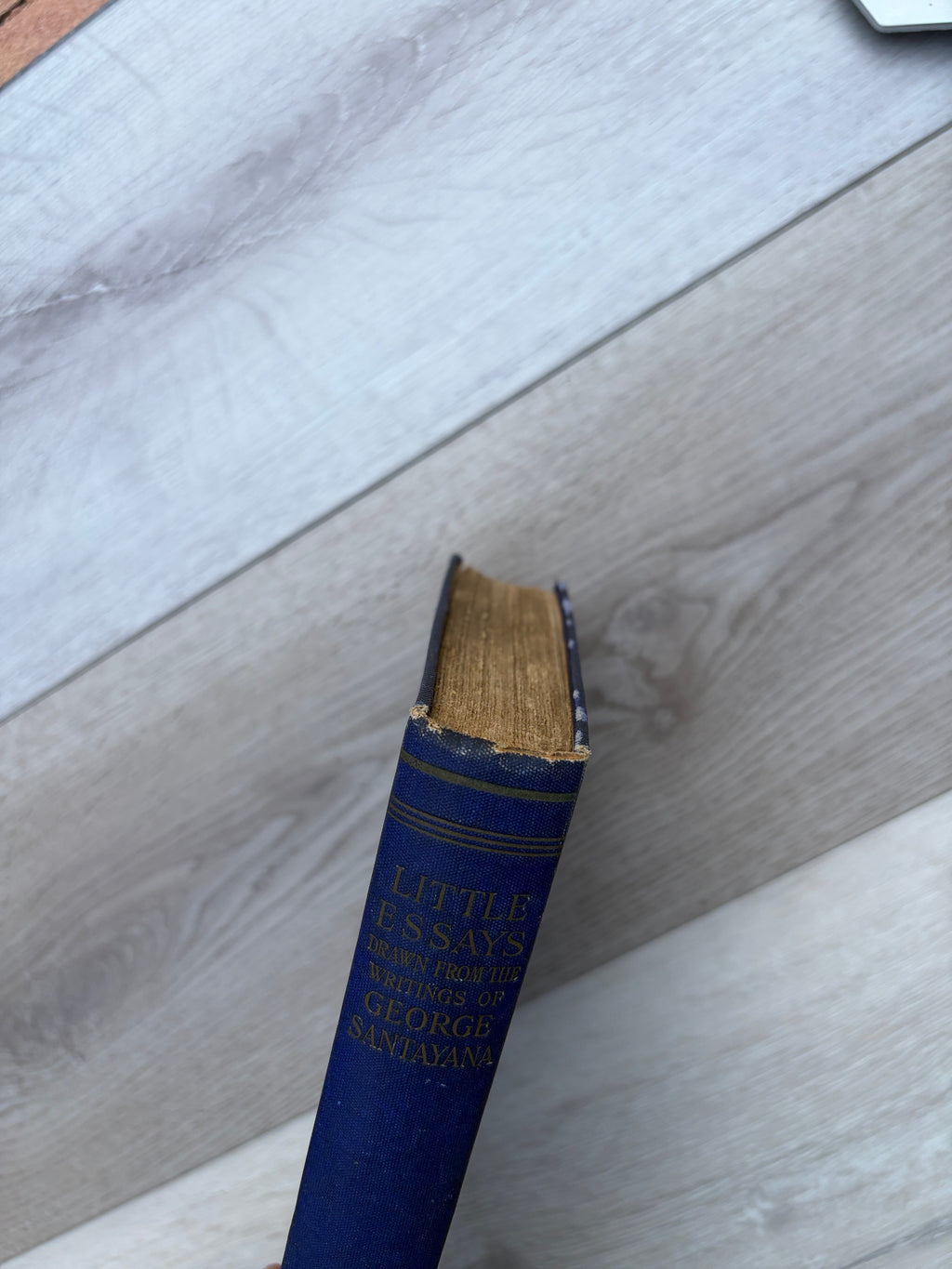 Little Essays Drawn from the Writings of George Santayana