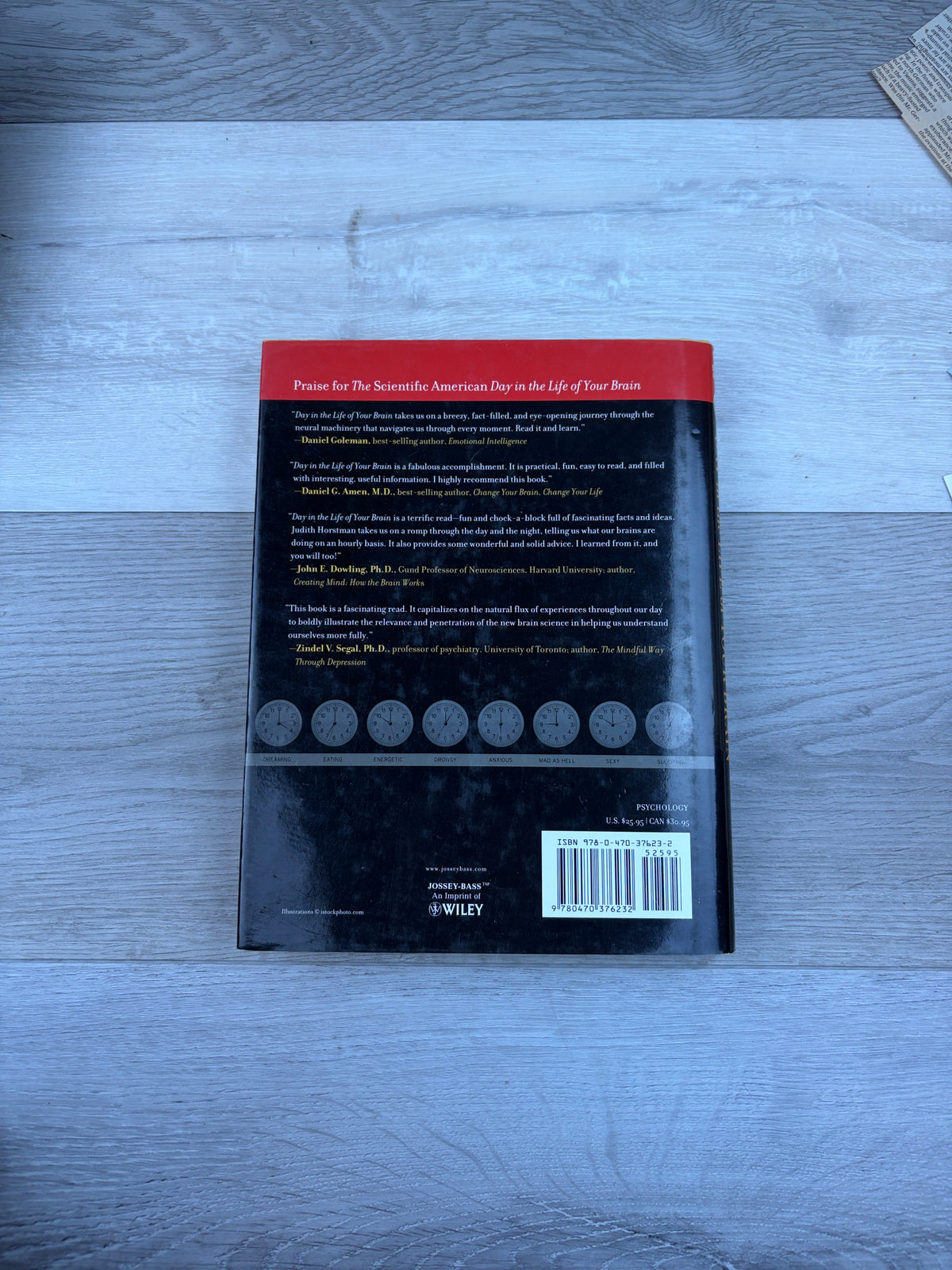 The Scientific American Day in the Life of Your Brain