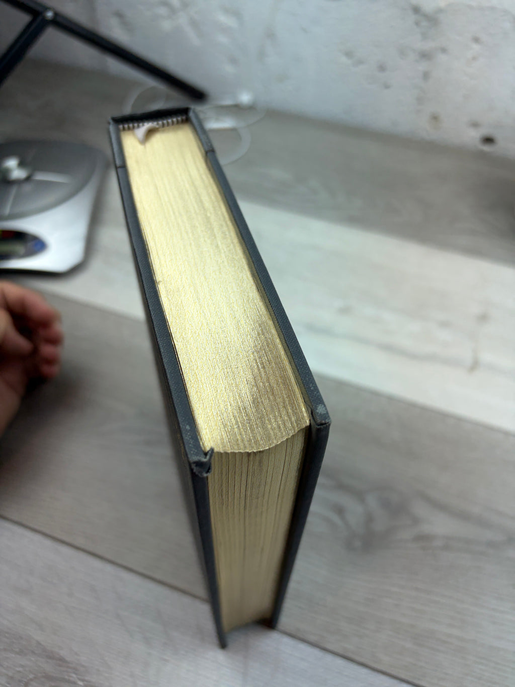 The Red and the Black