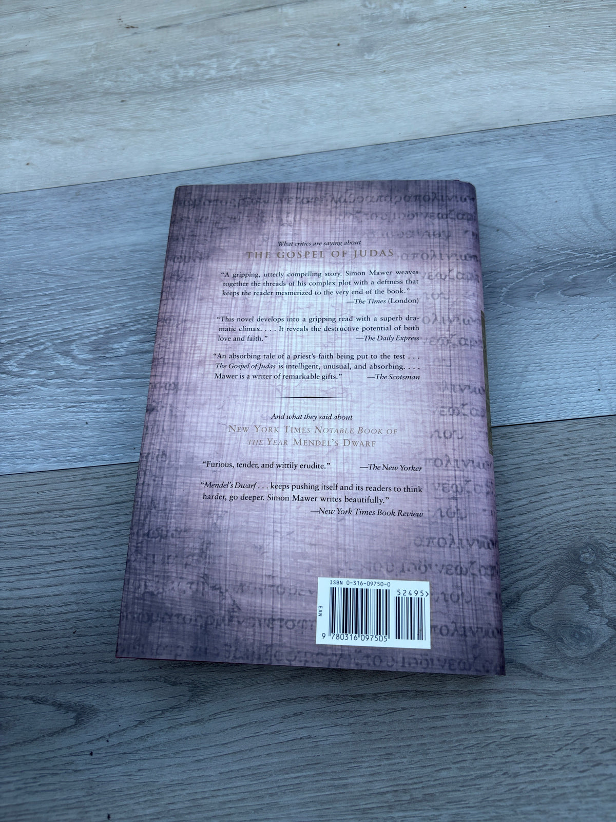 The Gospel of Judas: A Novel