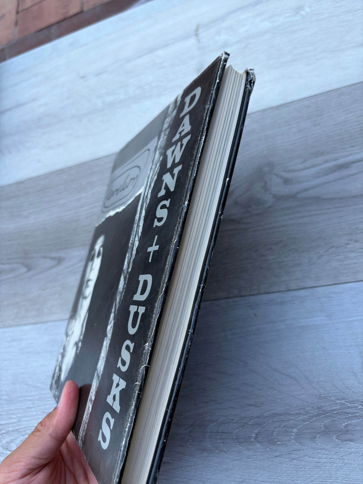 Dawns and Dusks: Taped Conversations with Diana MacKown