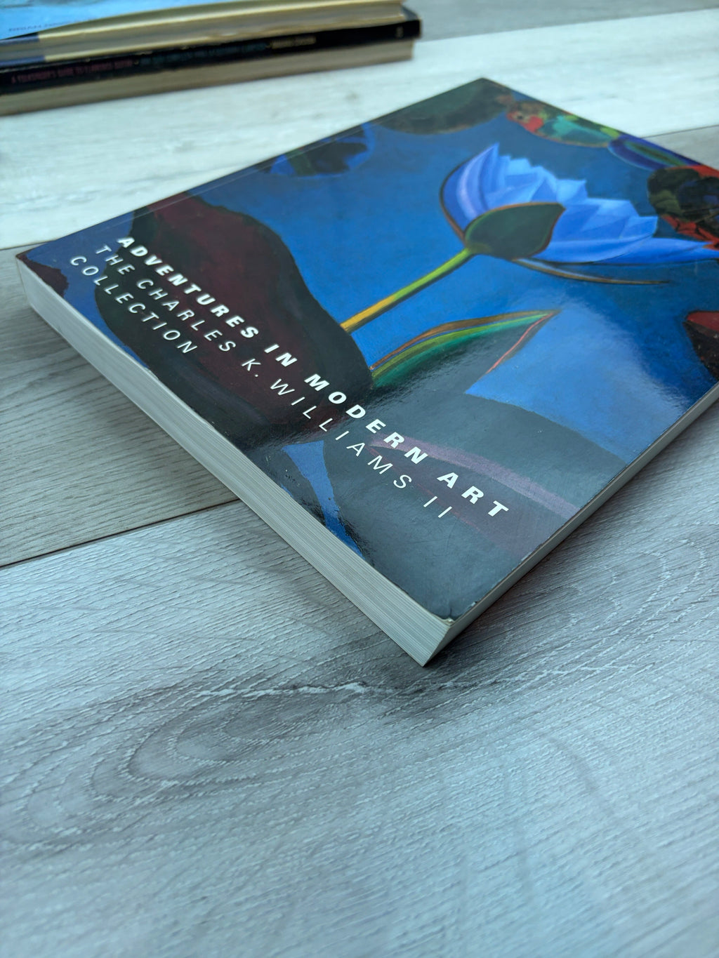 Adventures in Modern Art: The Charles K. Williams II Collection