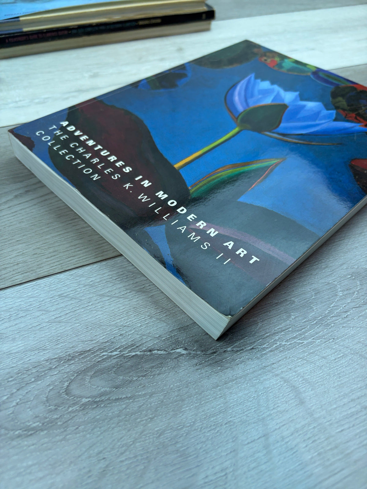Adventures in Modern Art: The Charles K. Williams II Collection