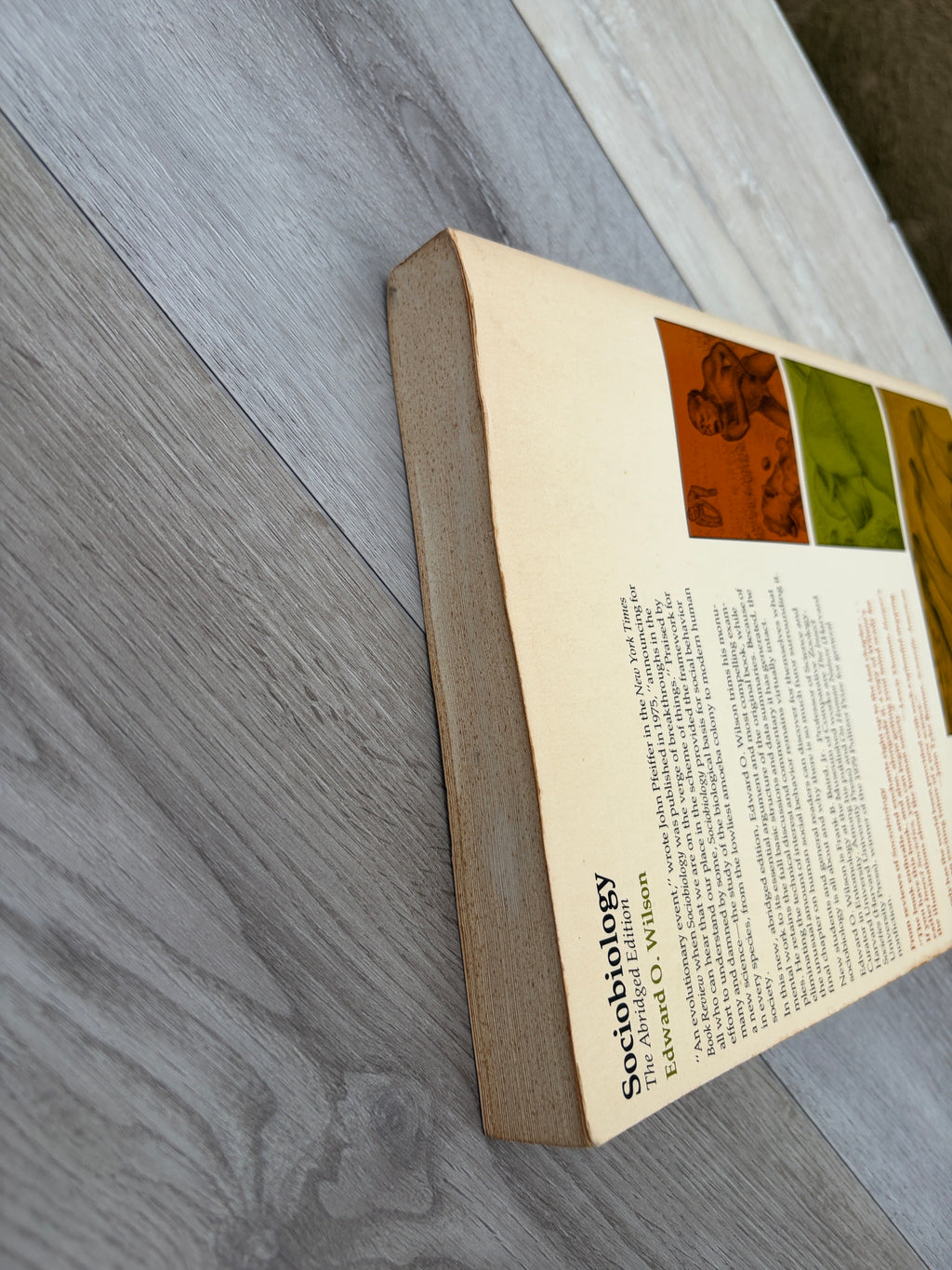 Sociobiology: The Abridged Edition