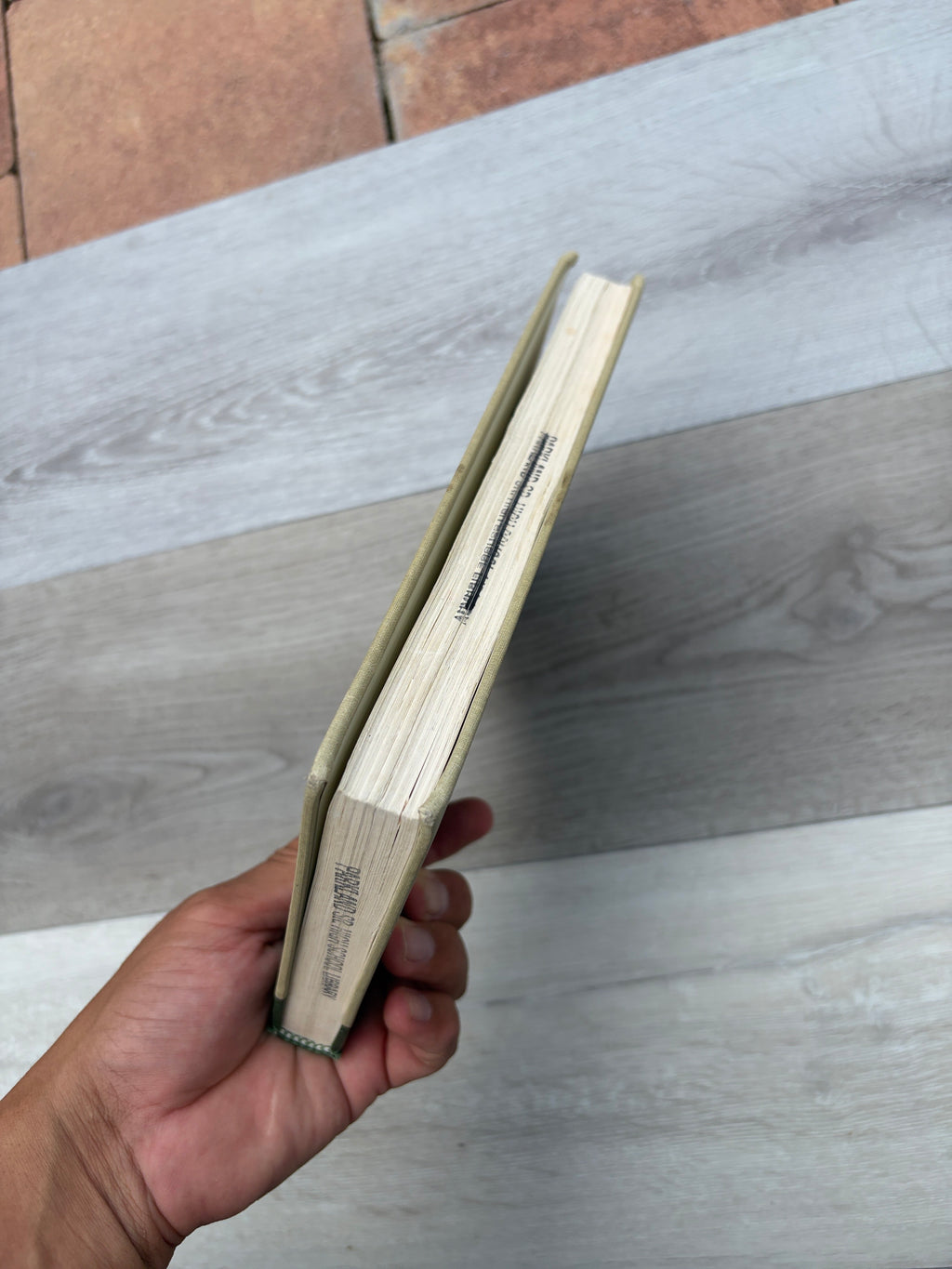 Critical Essays on Dante