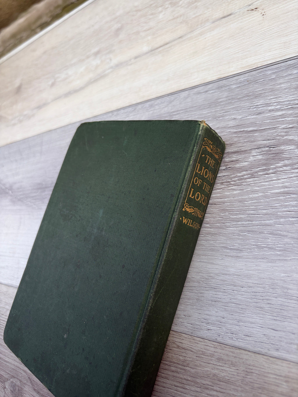 The Lions of the Lord: A Tale of the Old West