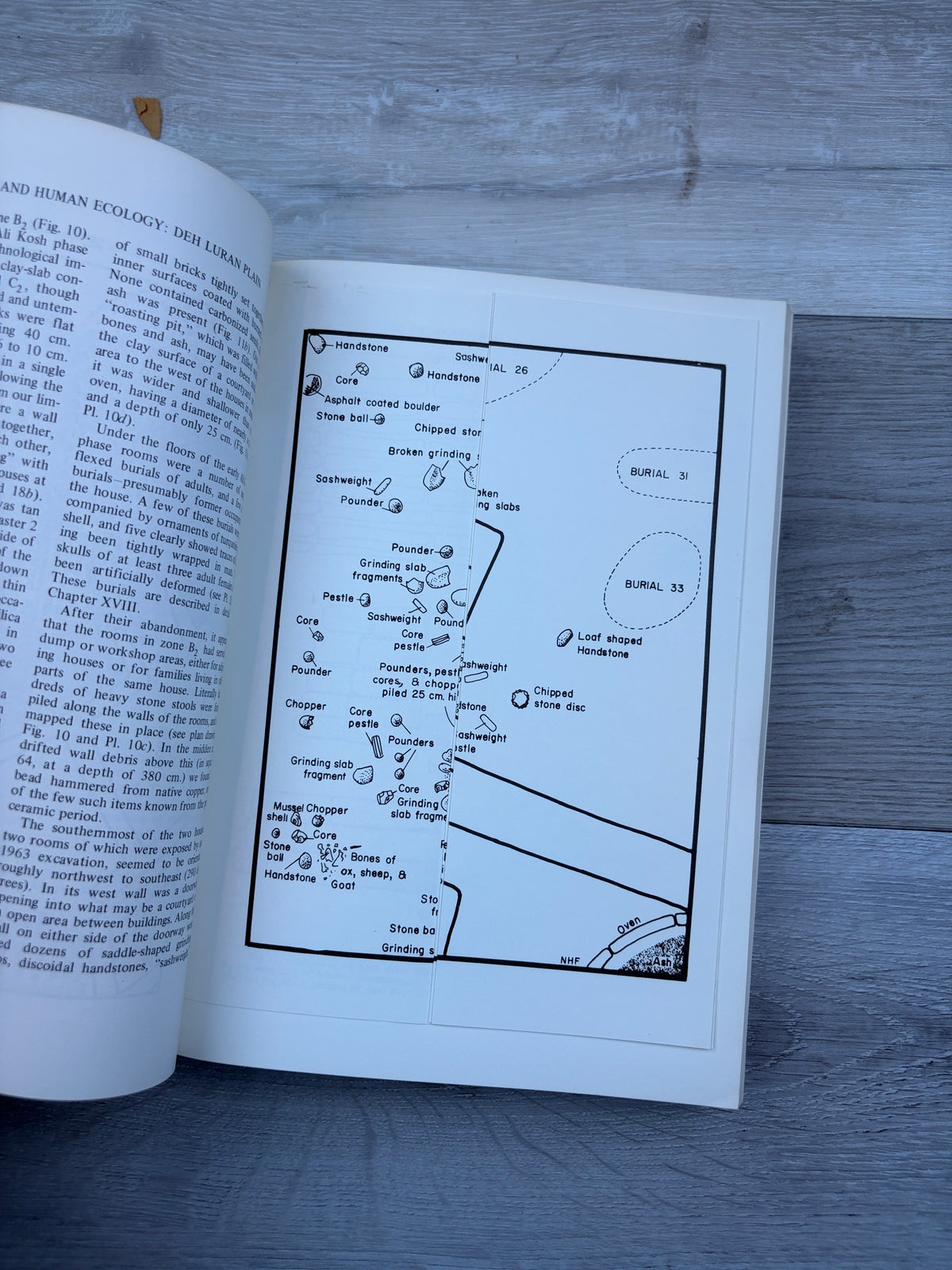 Prehistory and Human Ecology of the Deh Luran Plain