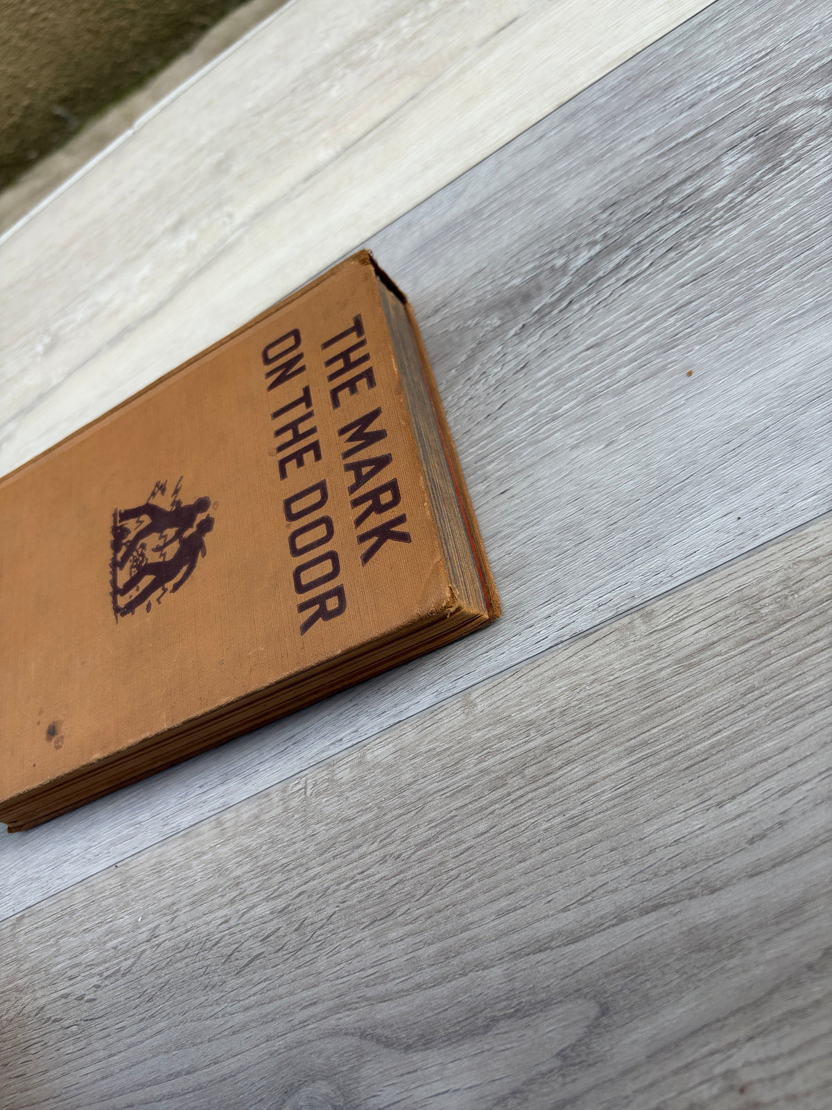 The Hardy Boys: The Mark on the Door