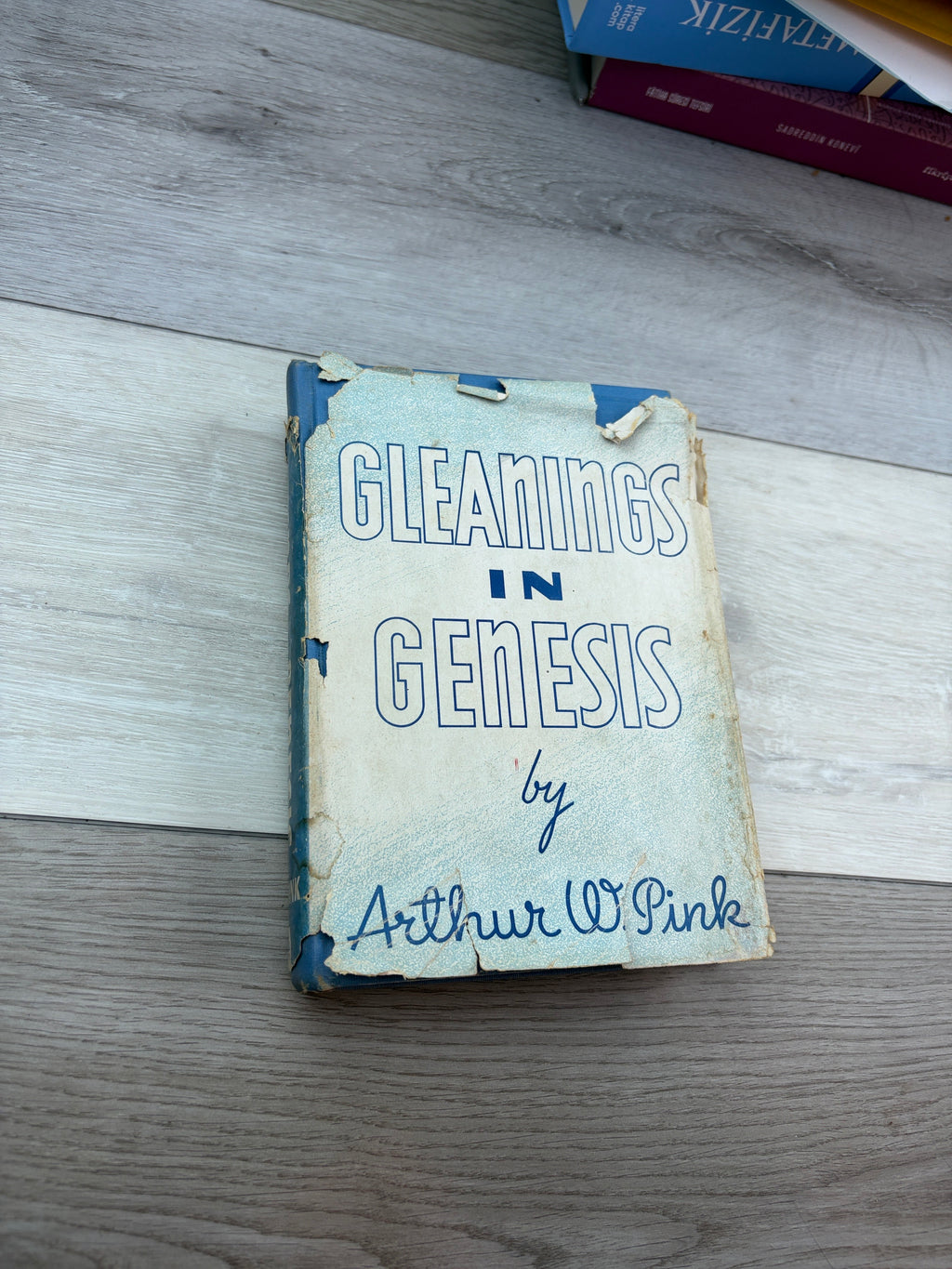 Gleanings in Genesis