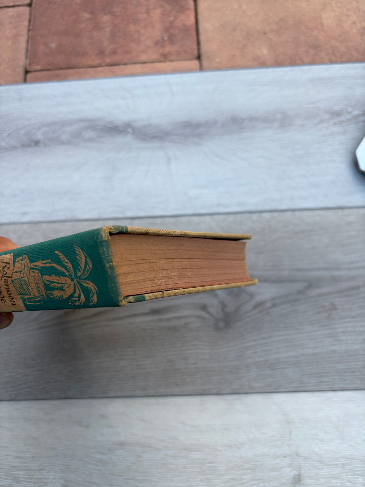 The Life and Strange Surprising Adventures of Robinson Crusoe