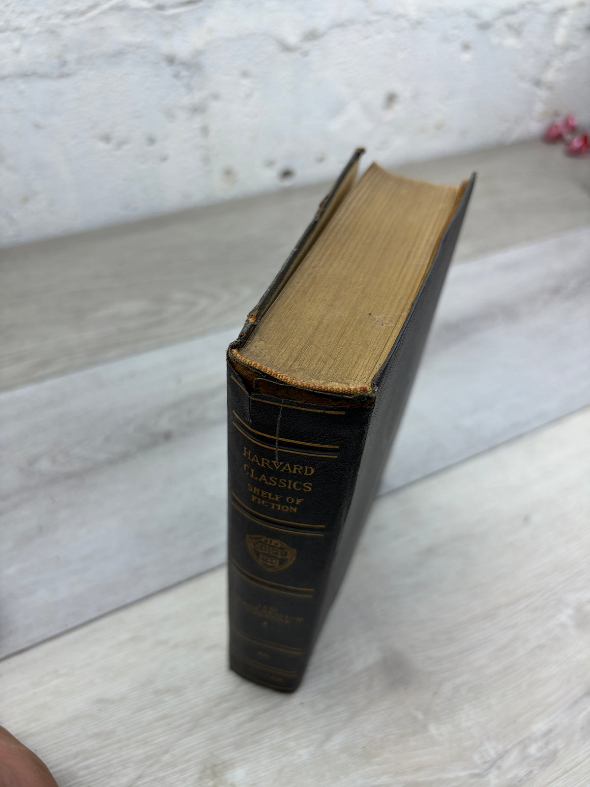 Anna Karenina, Volume 1