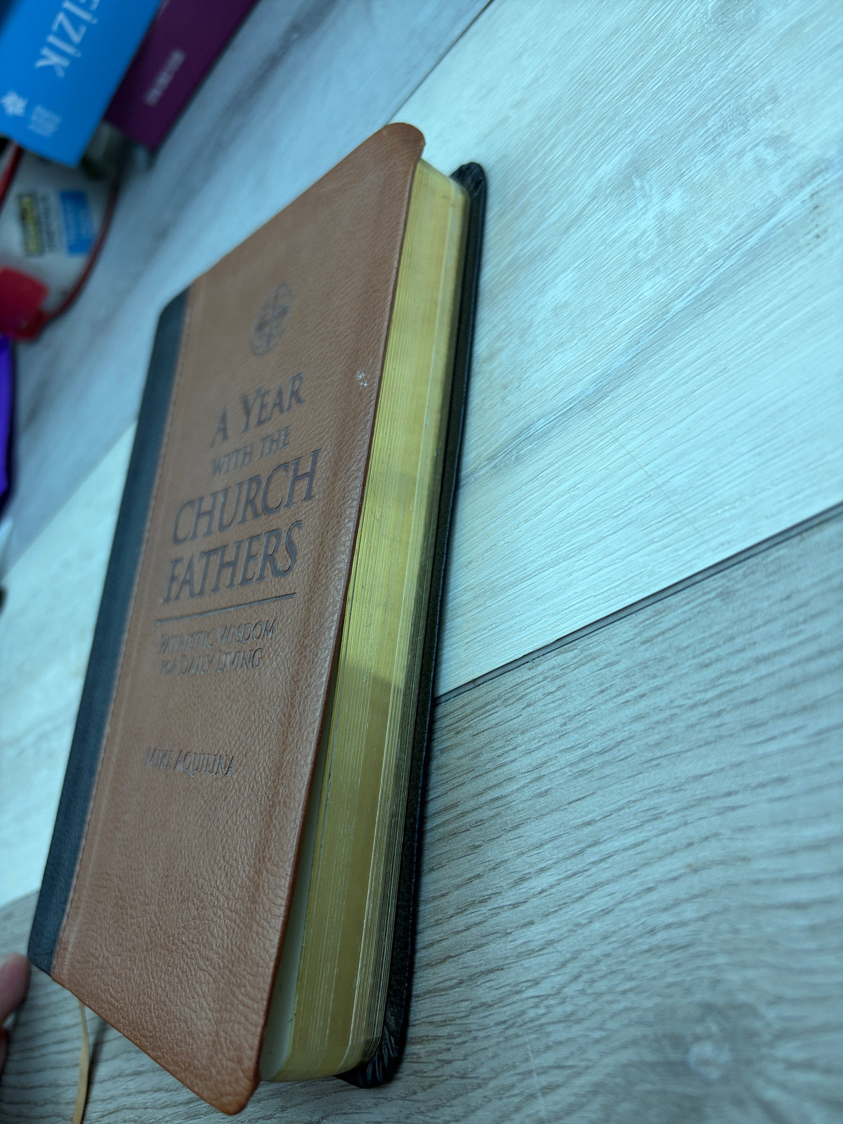 A Year with the Church Fathers