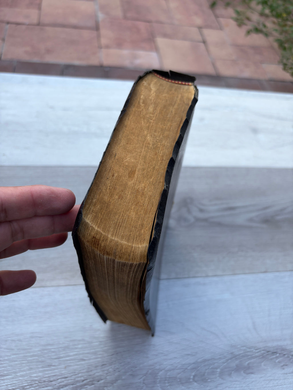 The God Bless You Holy Bible