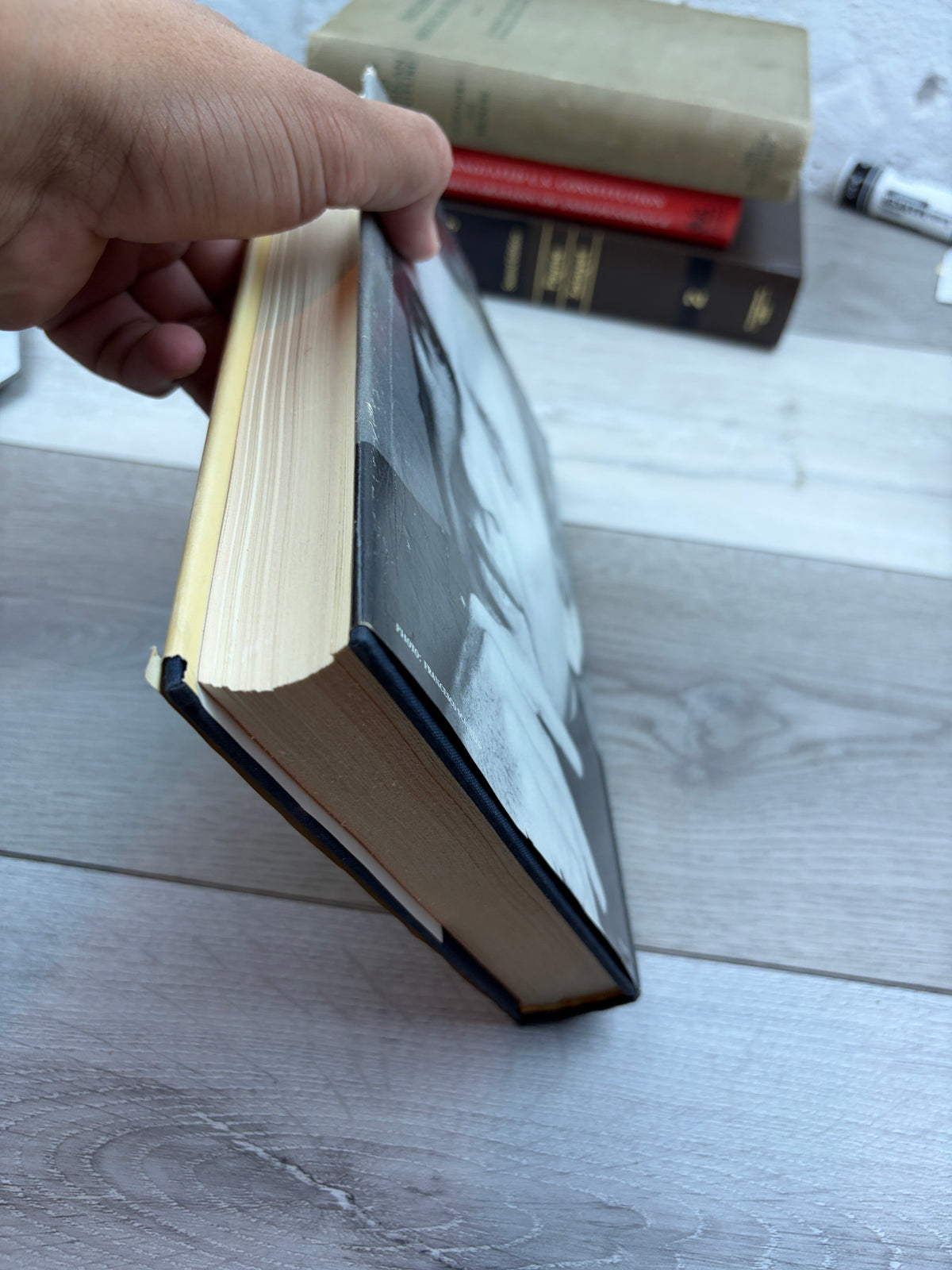 1876: A Novel