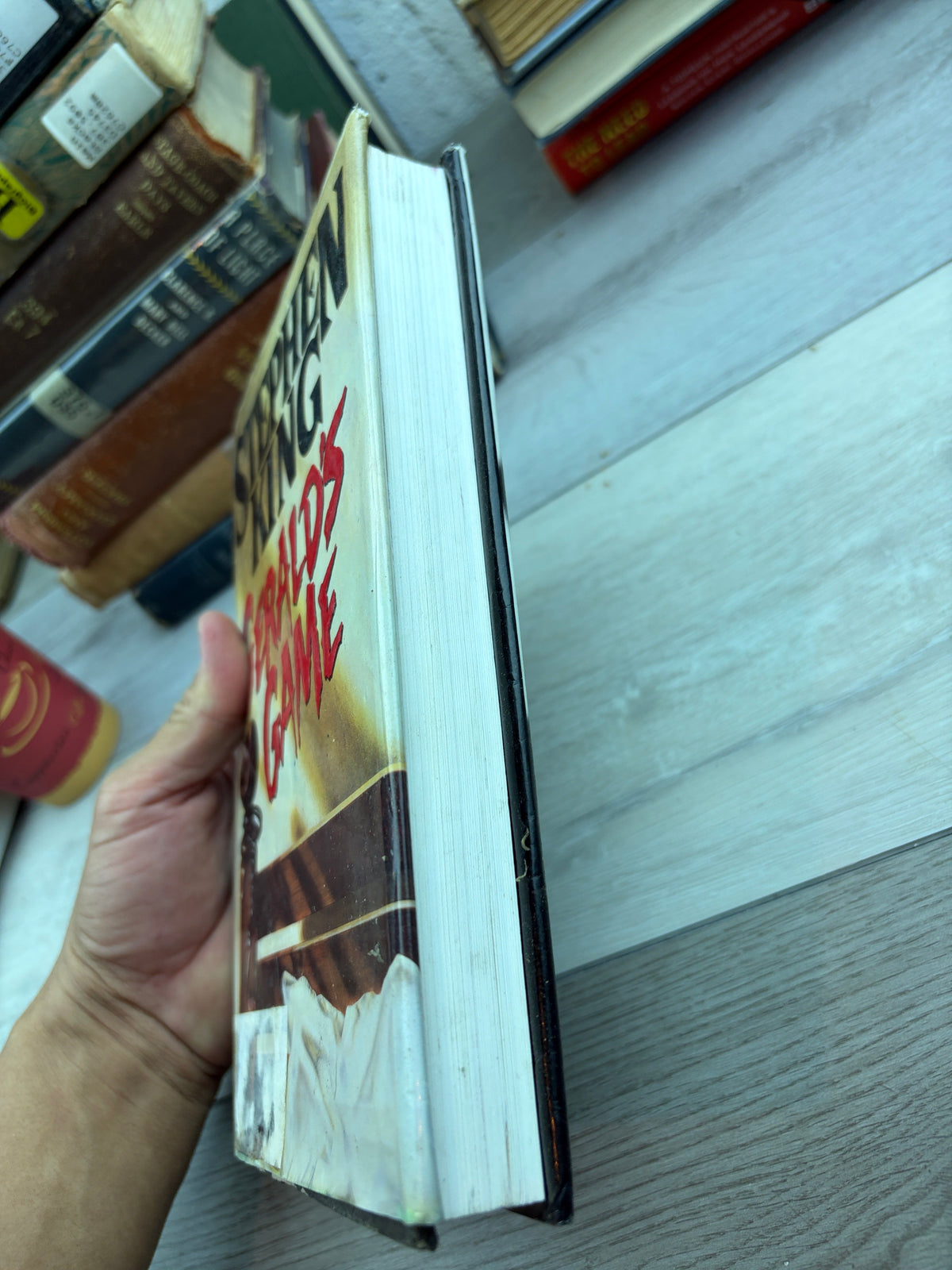 Gerald's Game