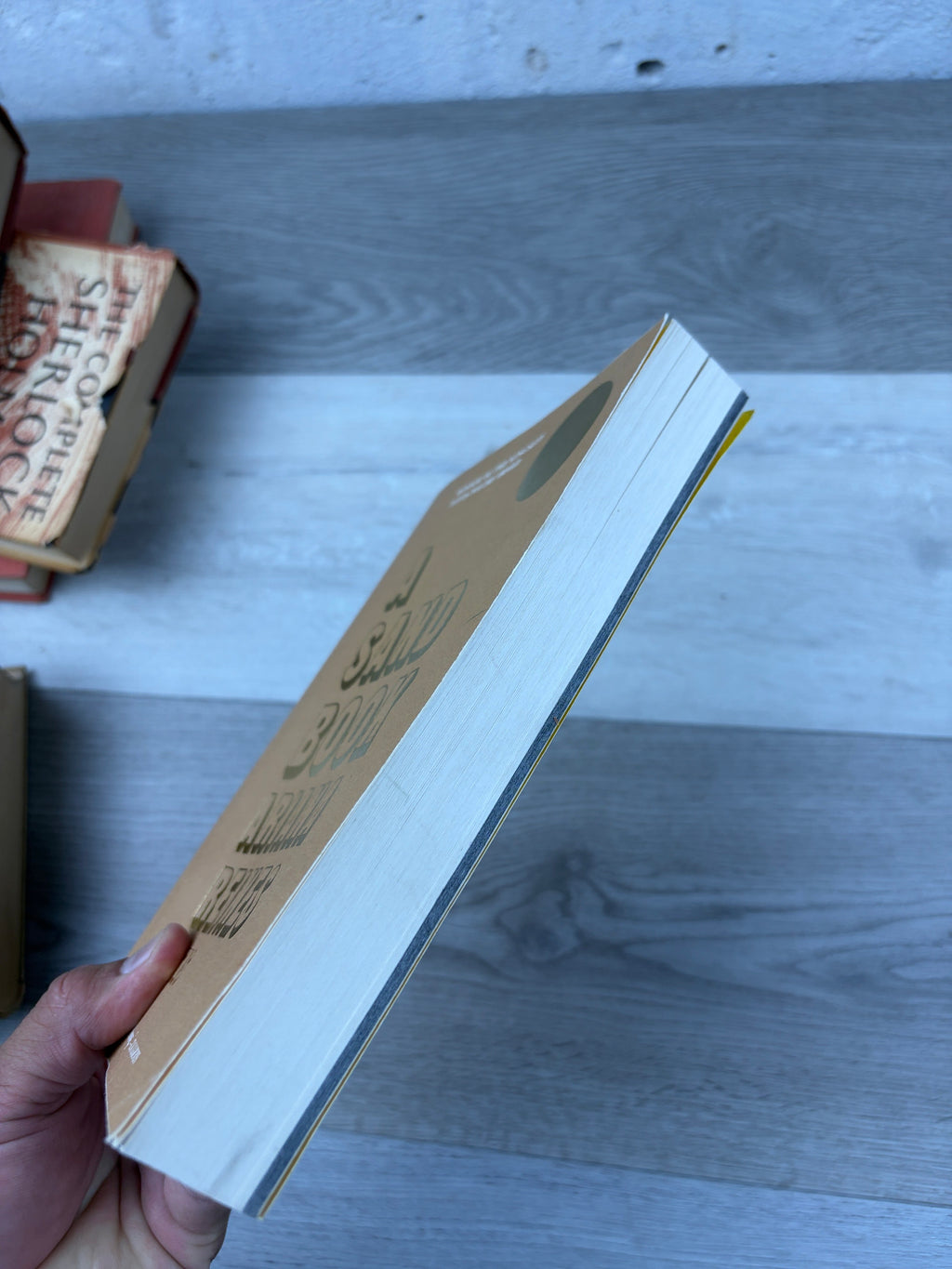 A Sand Book
