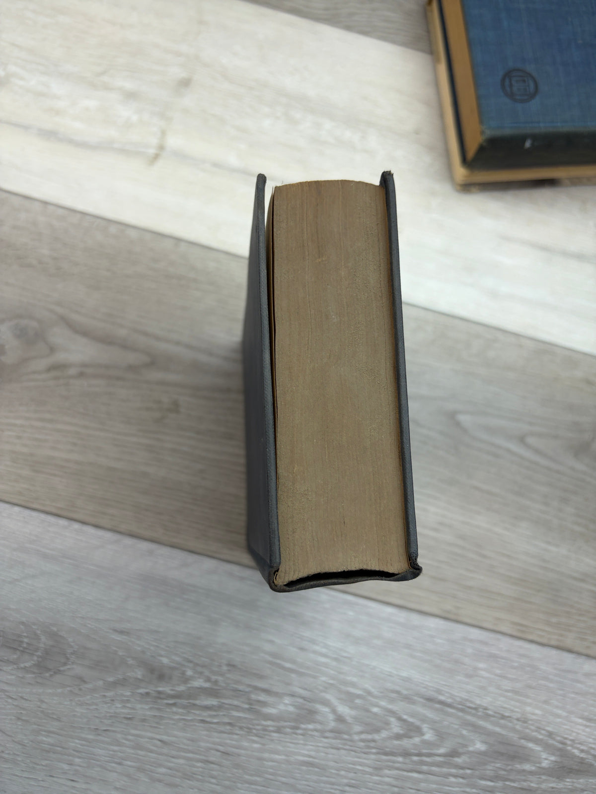 Dorothy L. Sayers Omnibus: Containing Whose Body?, The Unpleasantness at the Bellona Club, Suspicious Characters