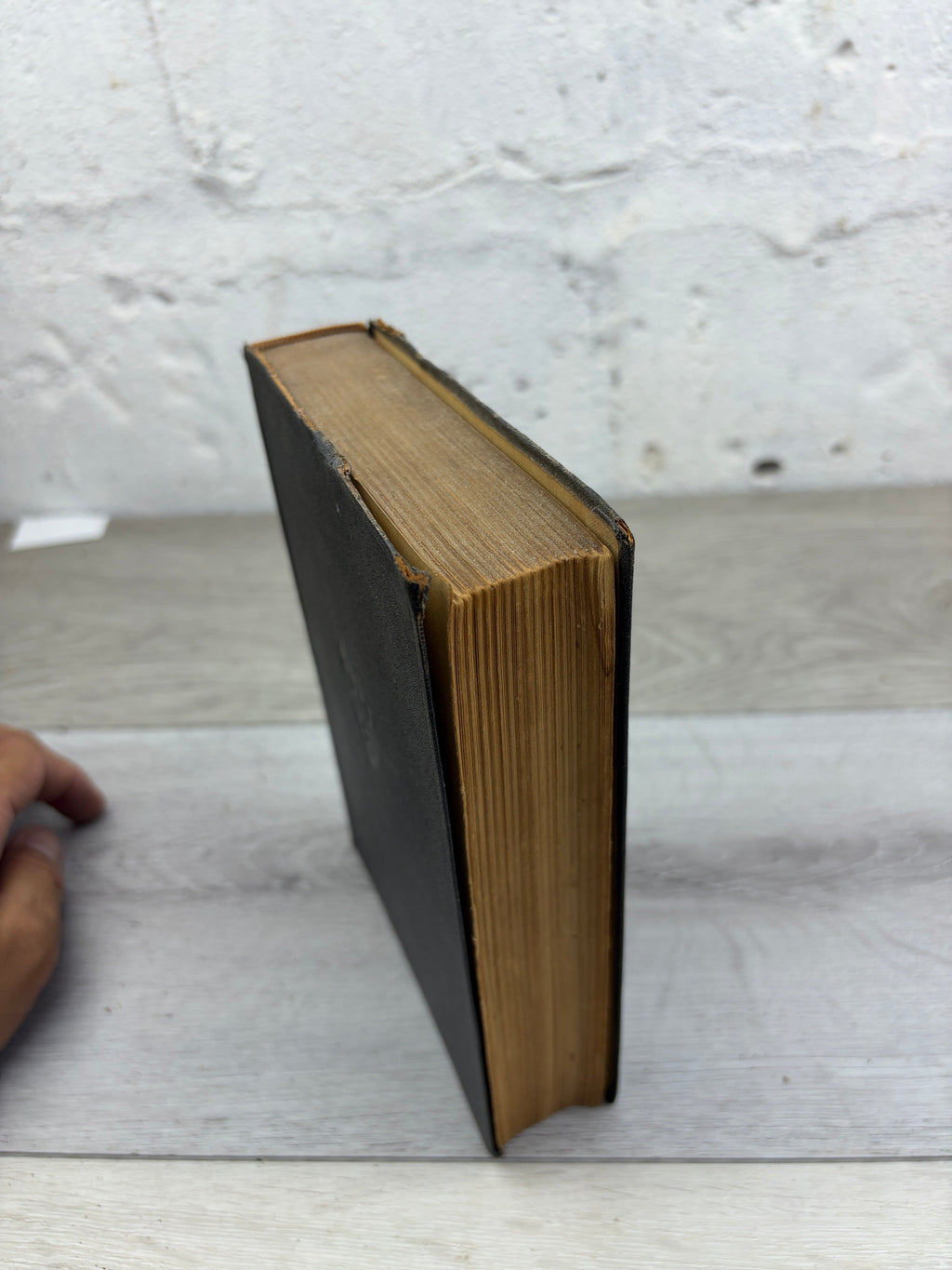 David Copperfield, Volume I