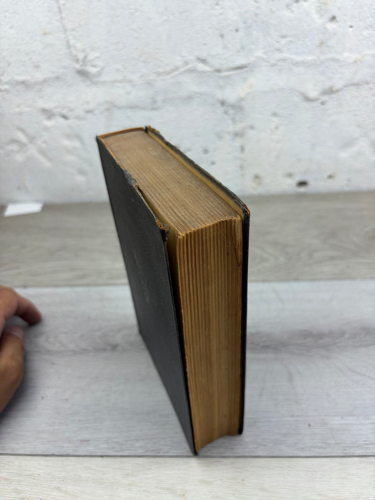David Copperfield, Volume I