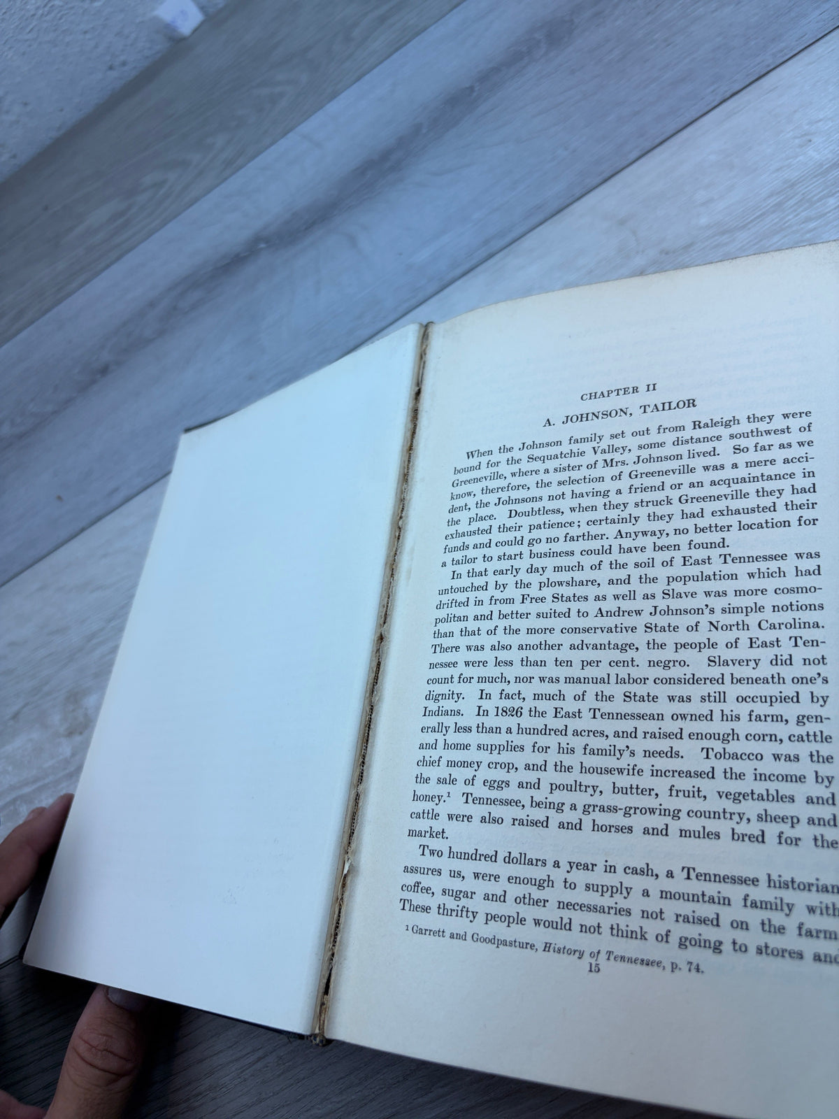 Andrew Johnson: Plebeian and Patriot