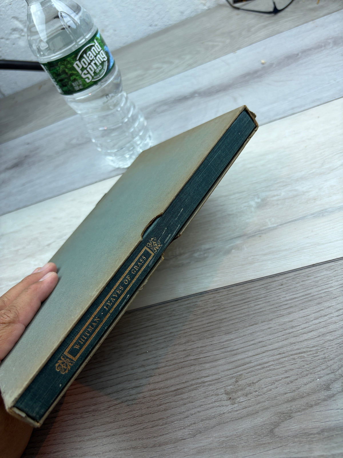 Leaves of Grass: A Gathering from Walt Whitman