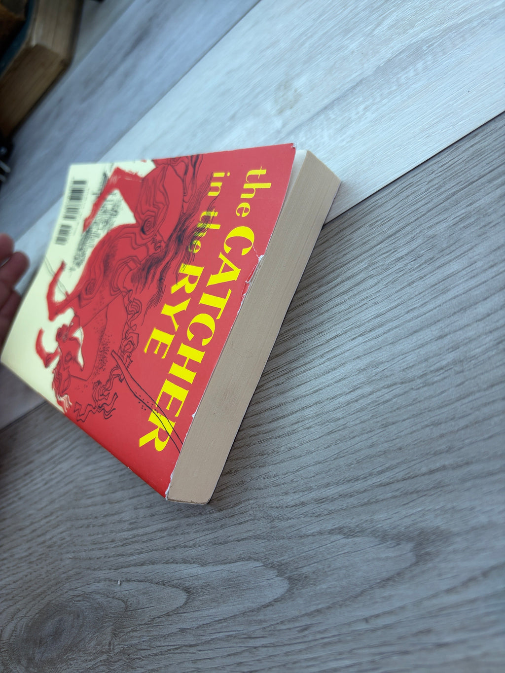 The Catcher in the Rye