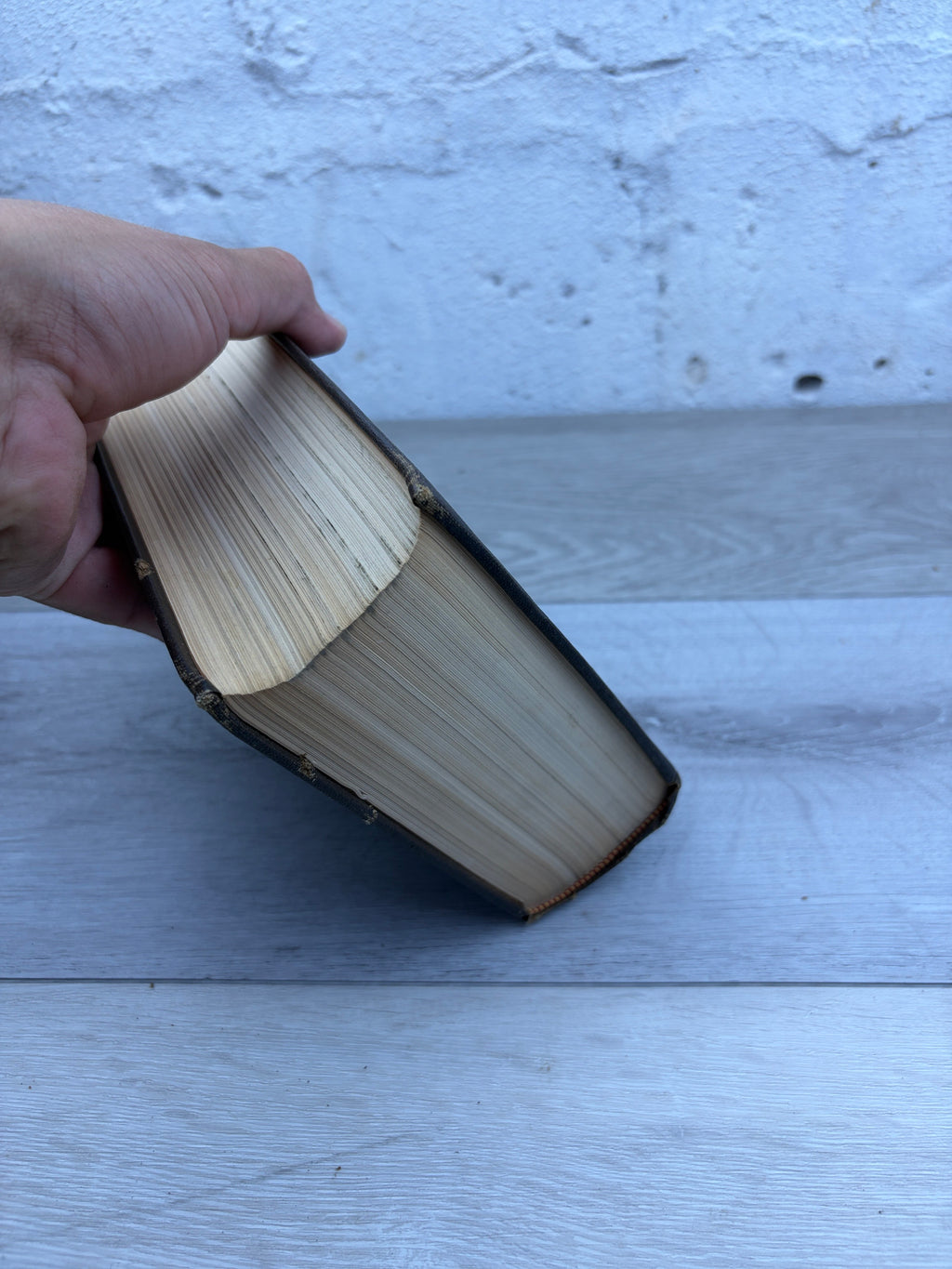 The Complete Novelettes of Honoré de Balzac