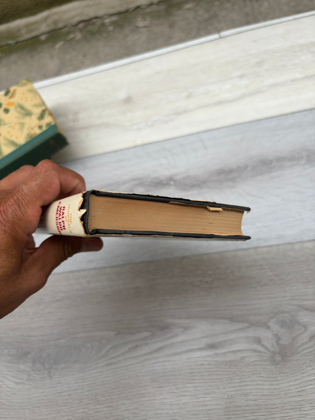The Journals of Ralph Waldo Emerson