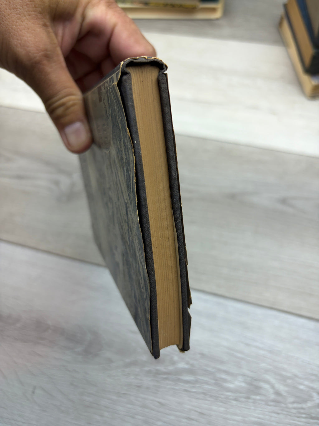 The Triumph of an Idea: The Story of Henry Ford