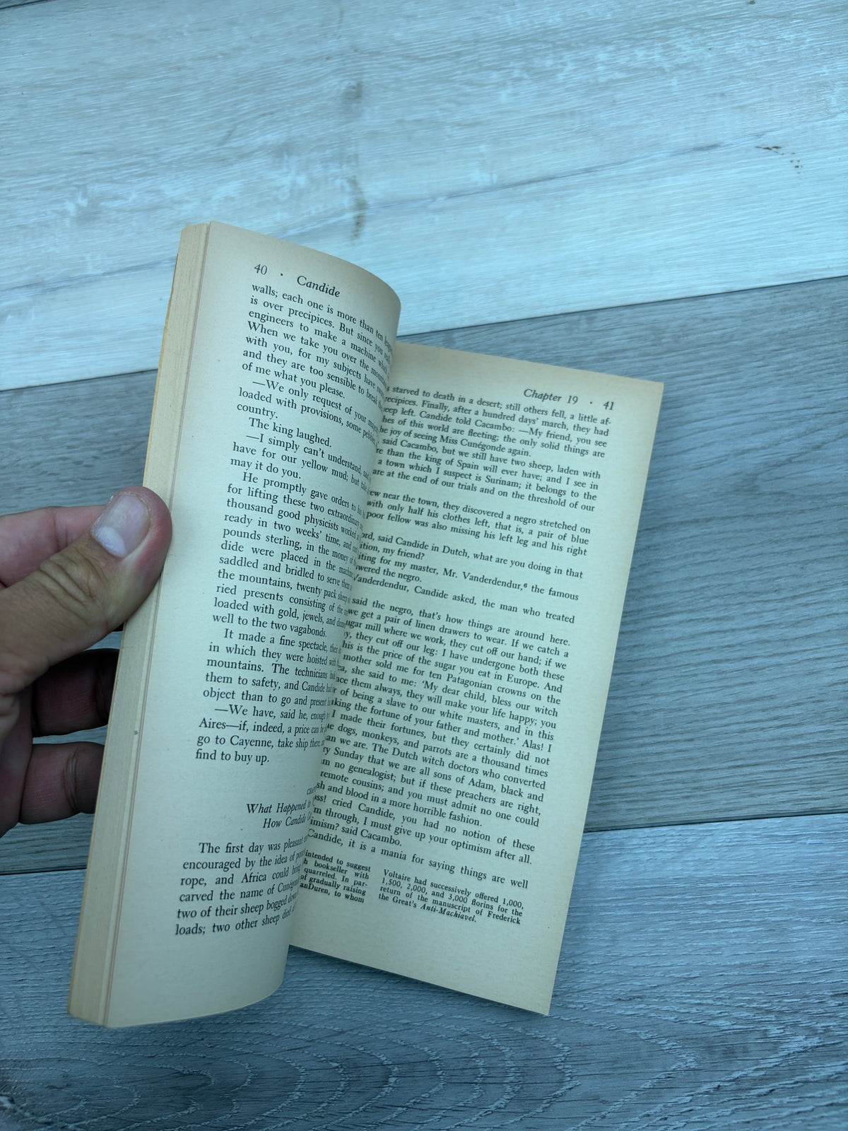 Candide, or Optimism: A New Translation; Backgrounds; Criticism