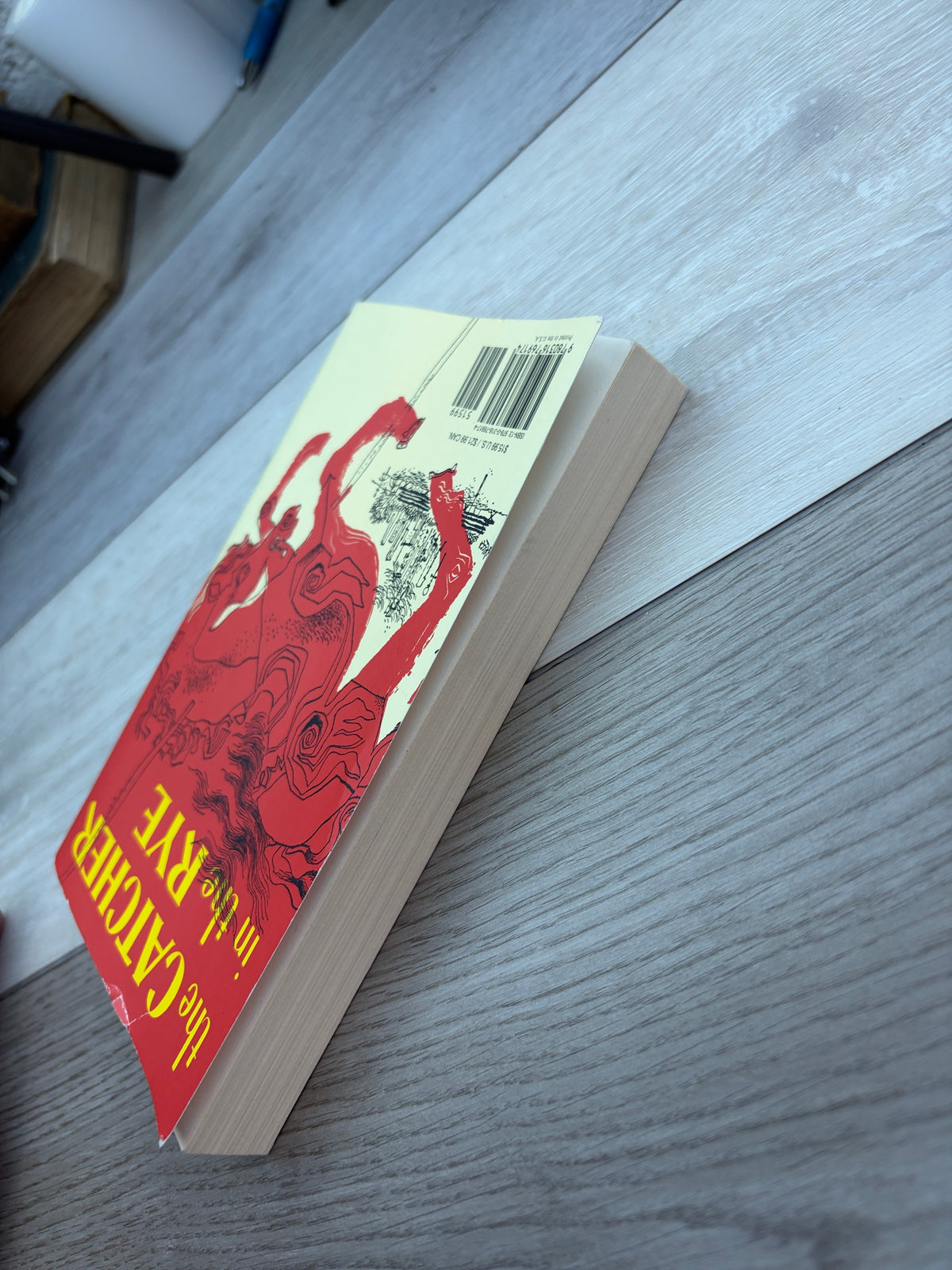 The Catcher in the Rye