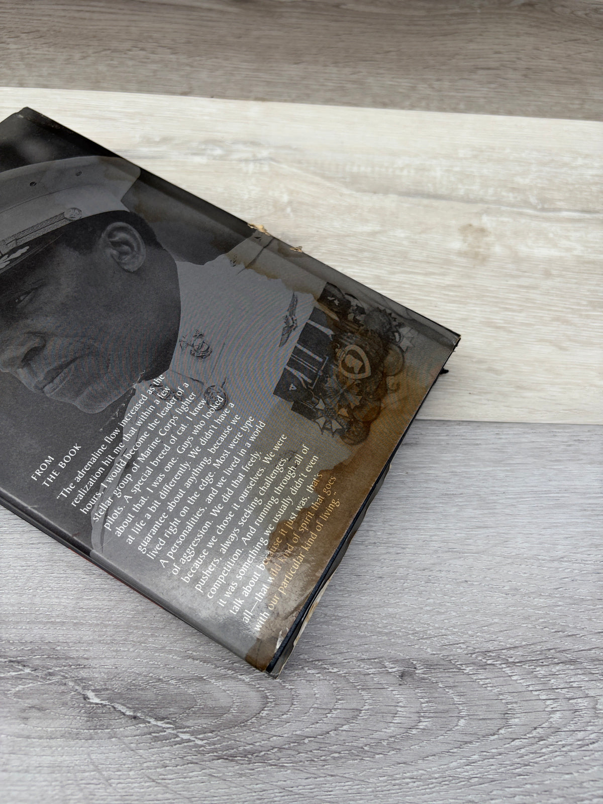 Into the Tiger's Jaw: America's First Black Marine Aviator