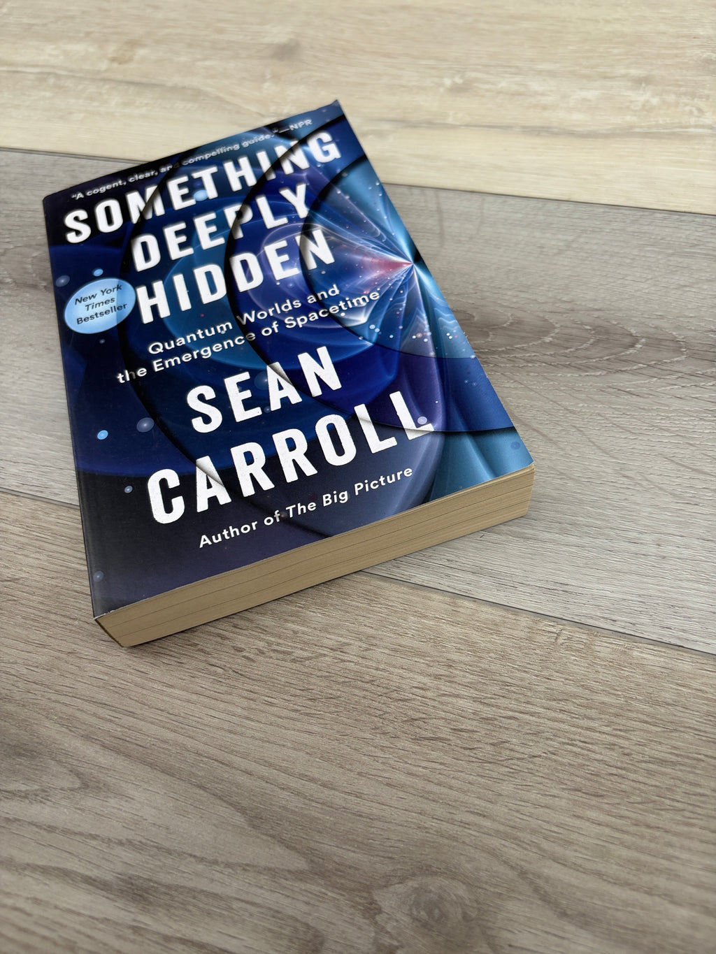 Something Deeply Hidden: Quantum Worlds and the Emergence of Spacetime