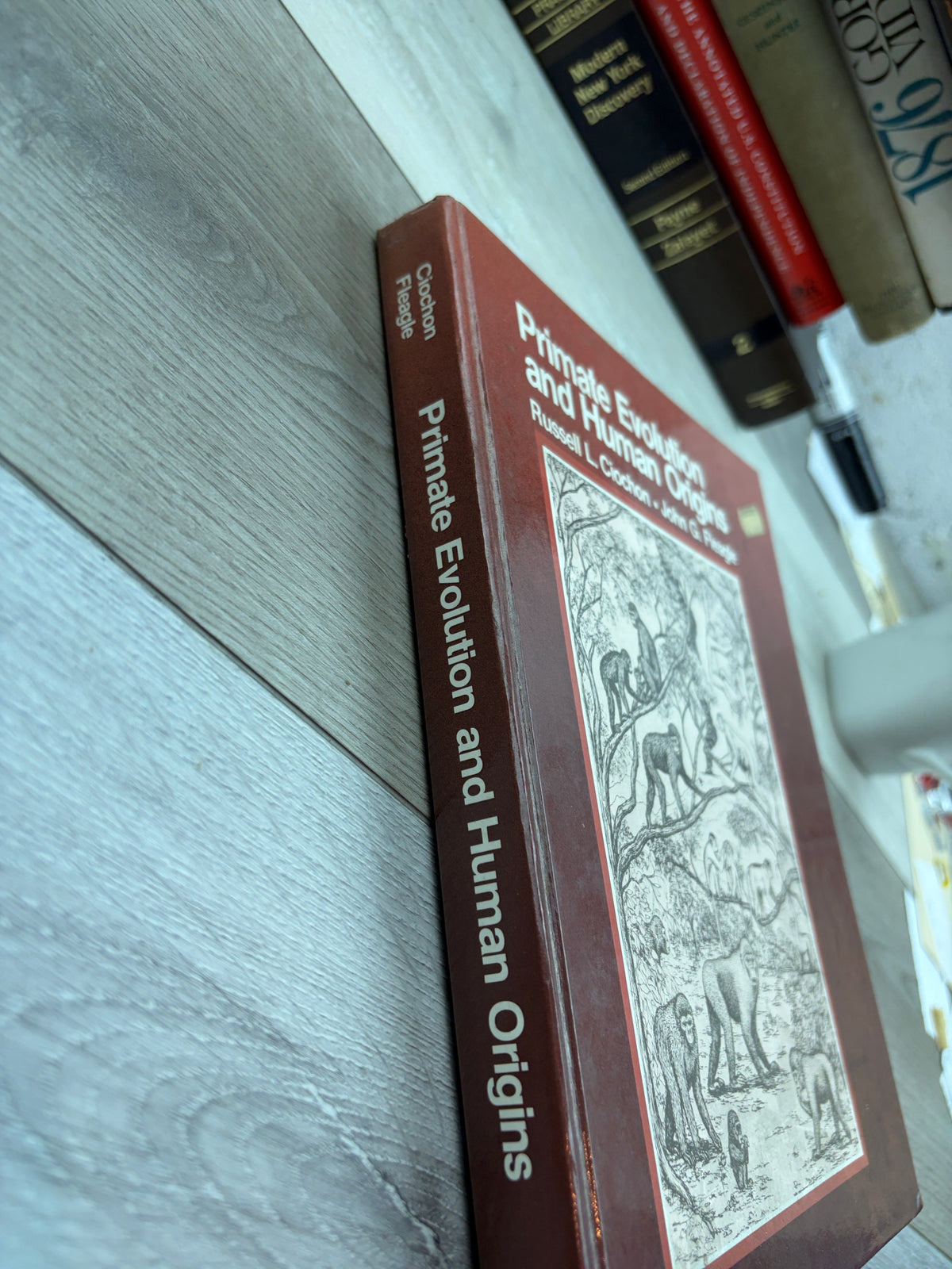 Primate Evolution and Human Origins