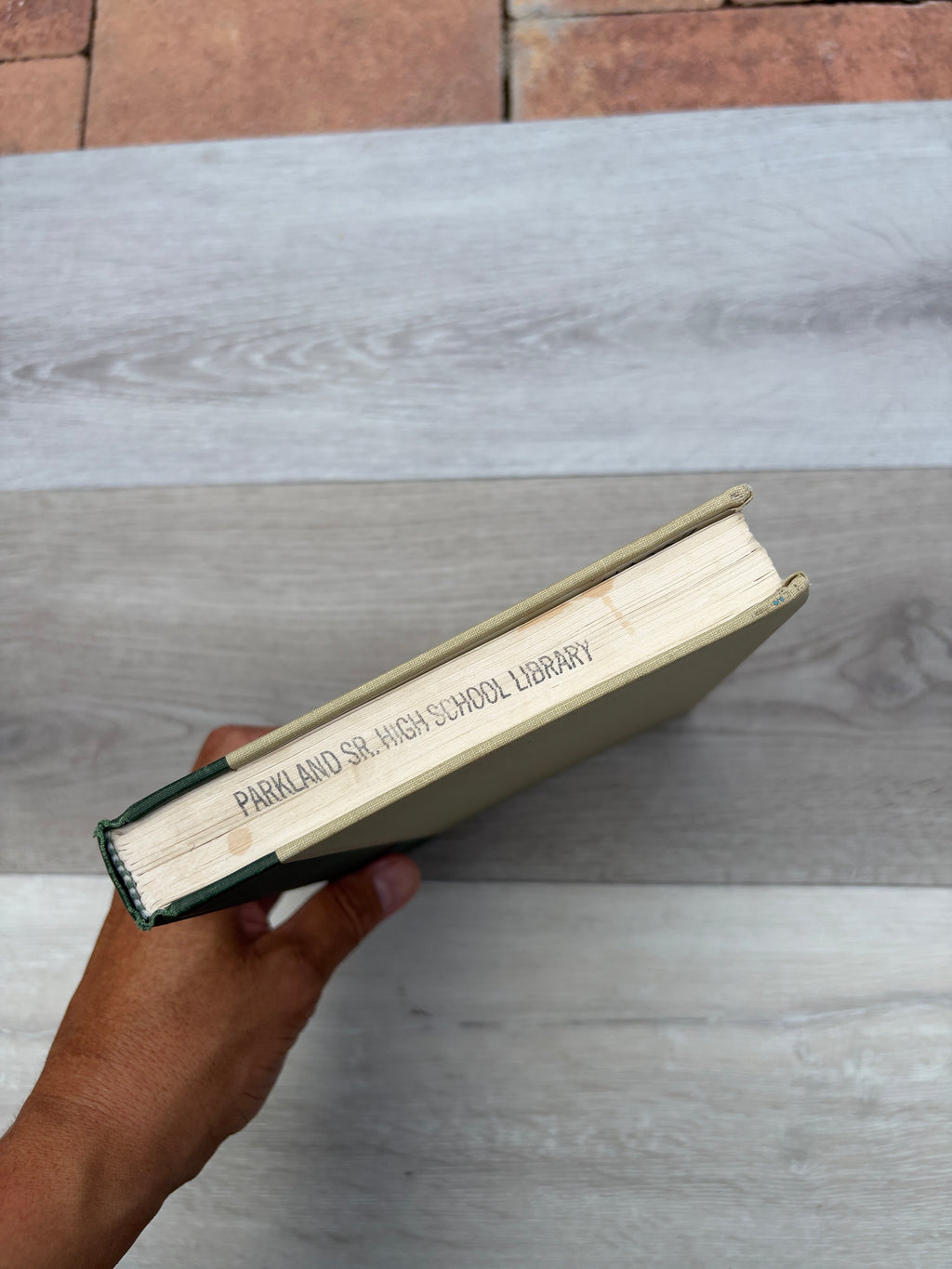 Critical Essays on Dante