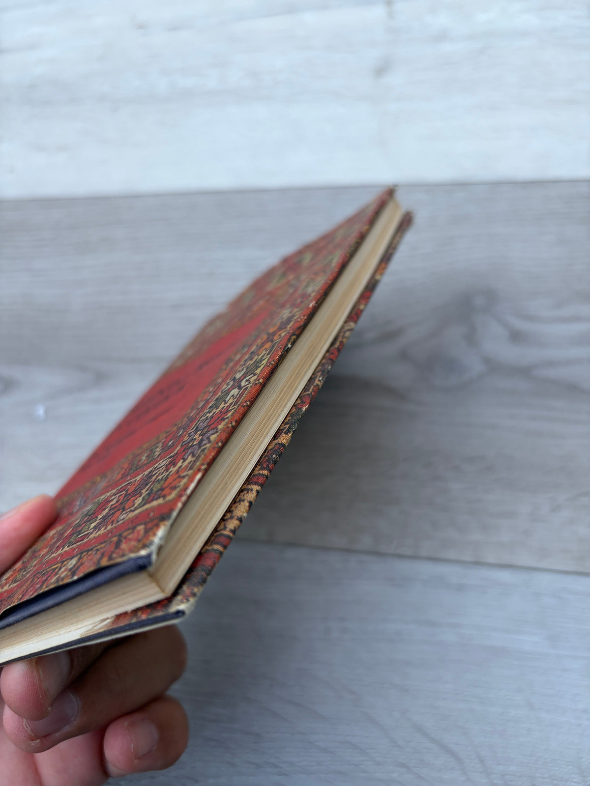 Oriental Rugs in Colour