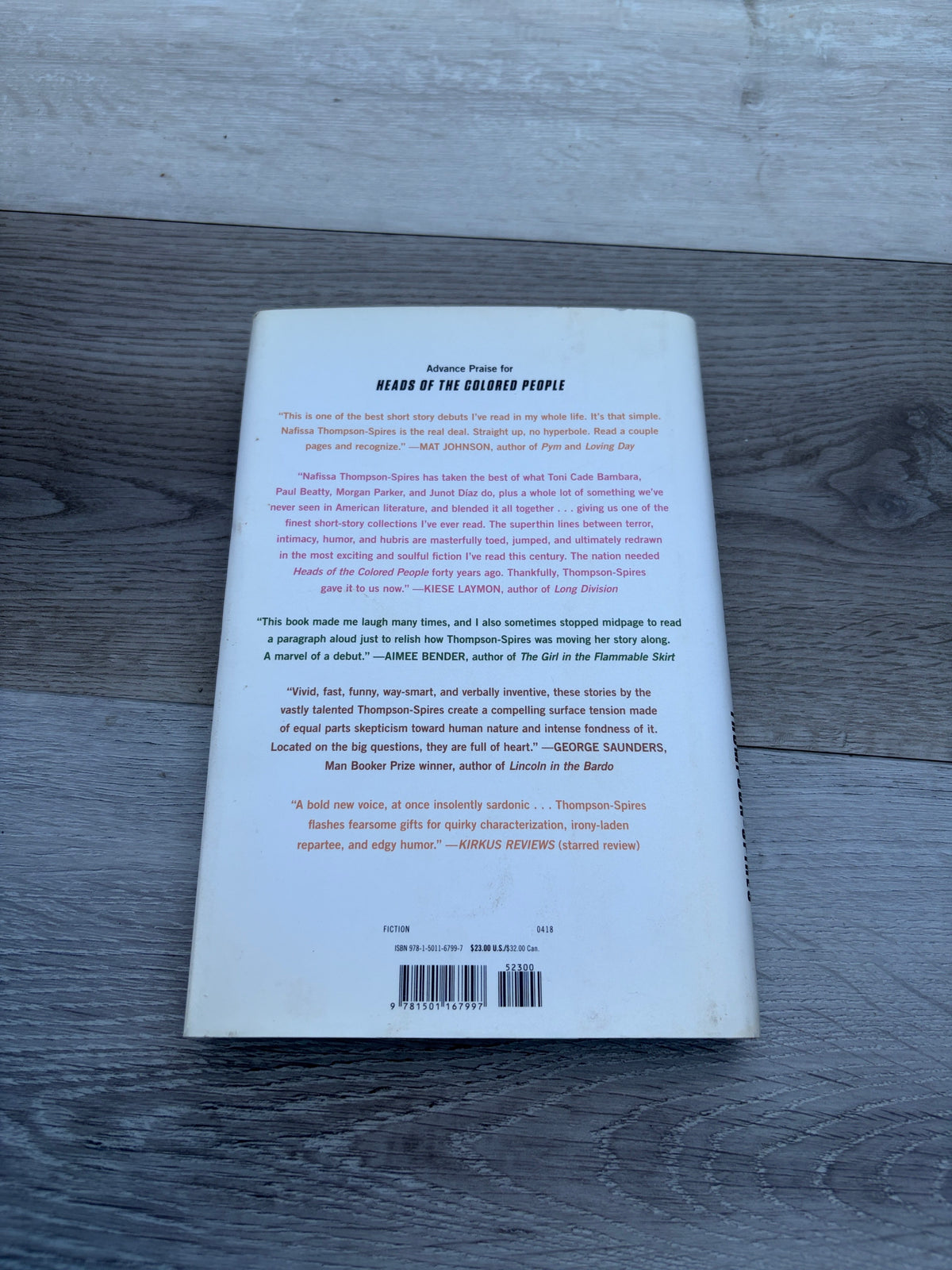 Heads of the Colored People: Stories