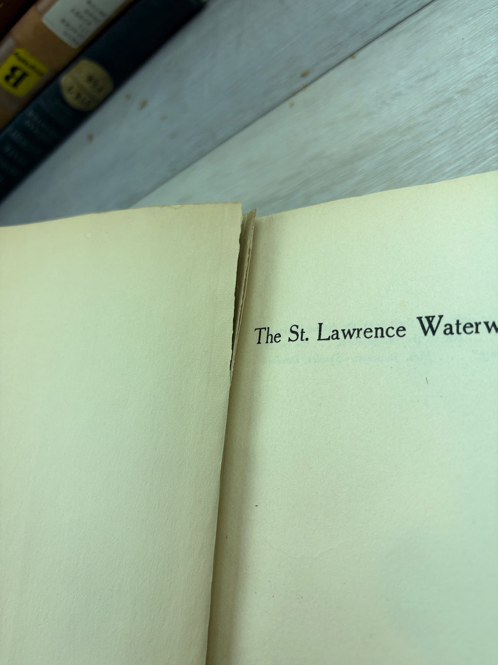 The St. Lawrence Waterway Project